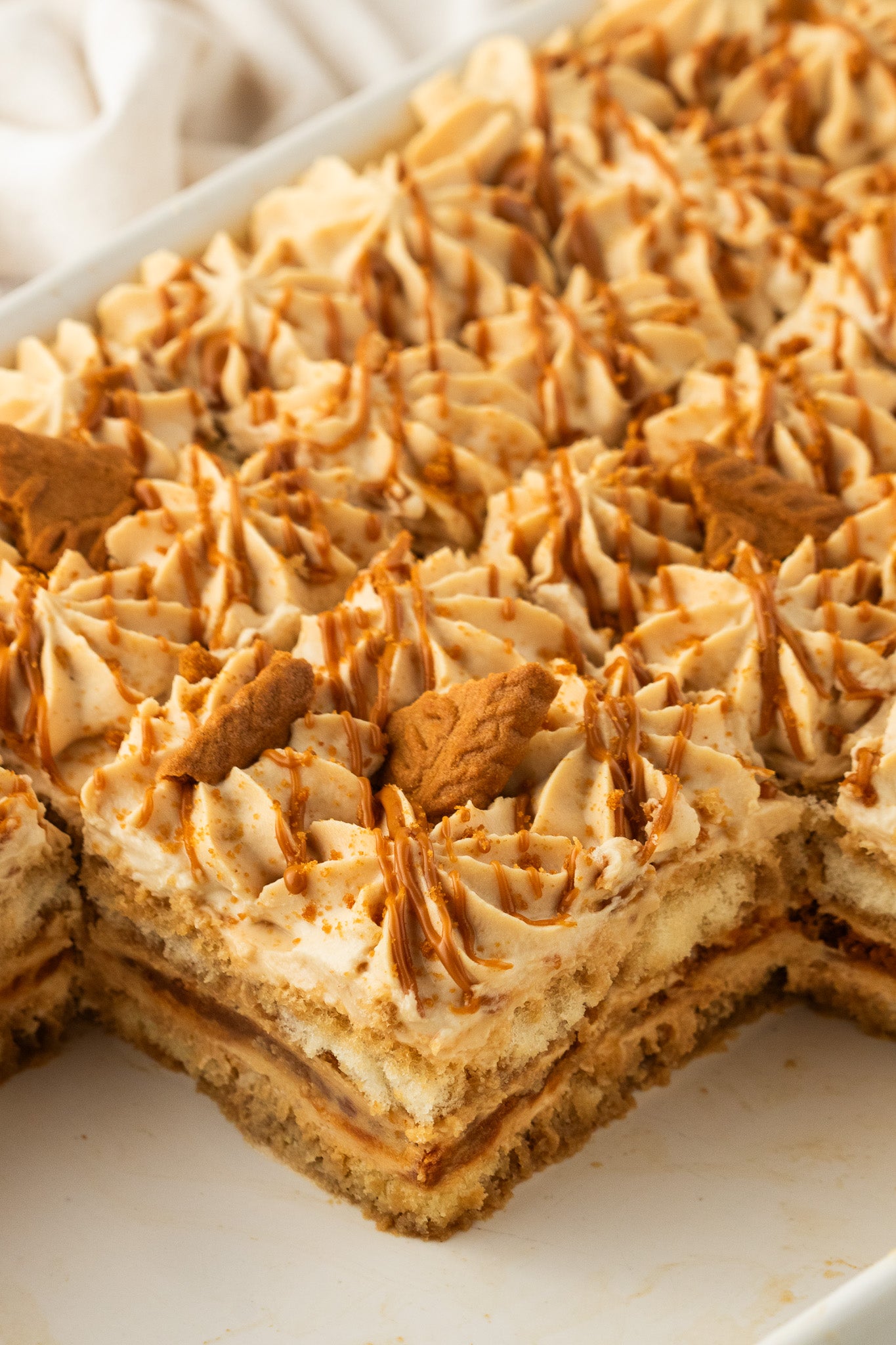 Biscoff Tiramisu- Exclusive