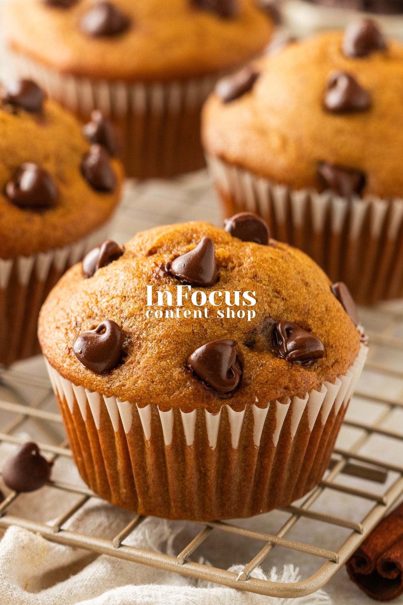Pumpkin Chocolate Chip Muffins- Exclusive