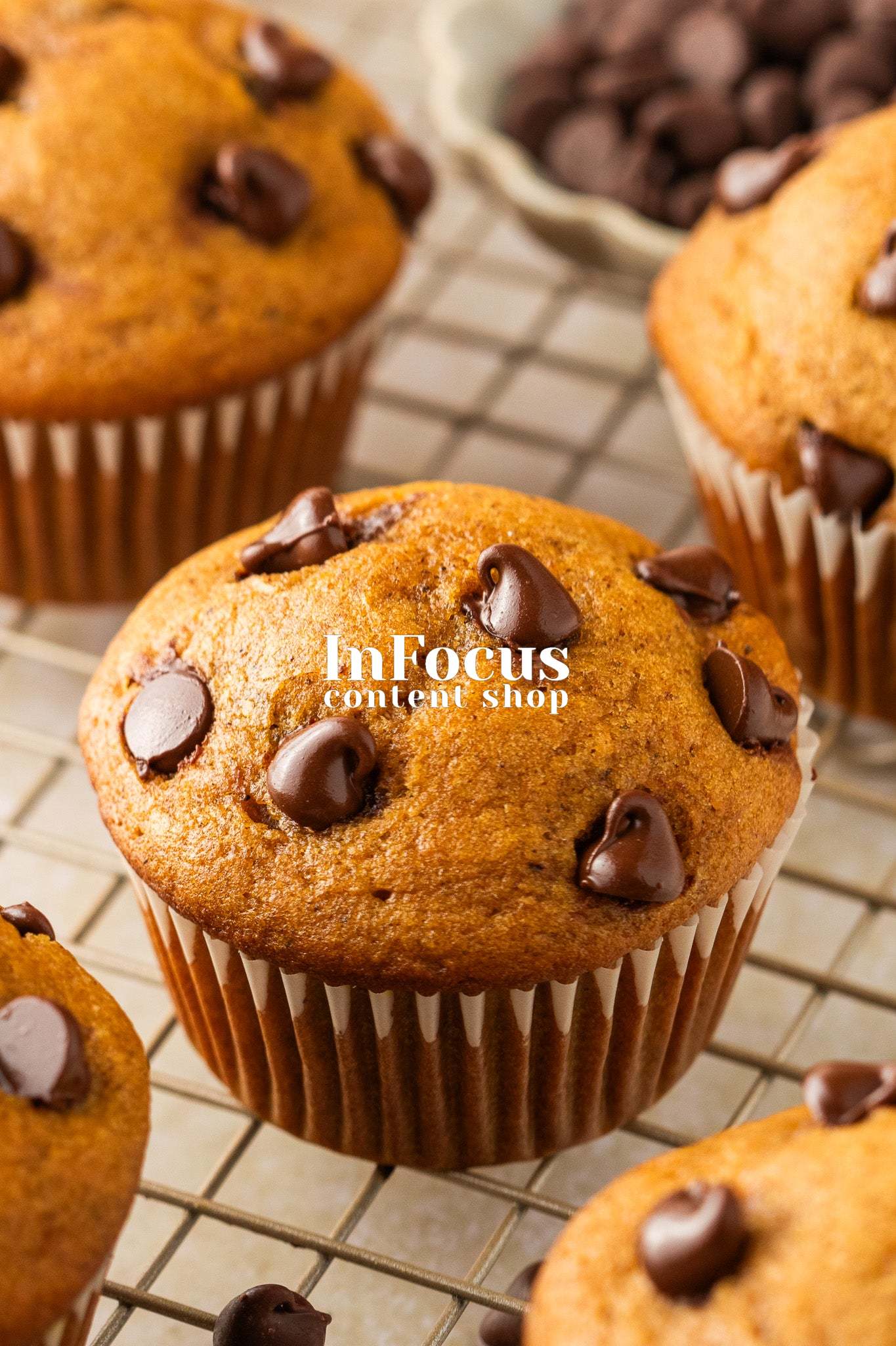Pumpkin Chocolate Chip Muffins- Exclusive
