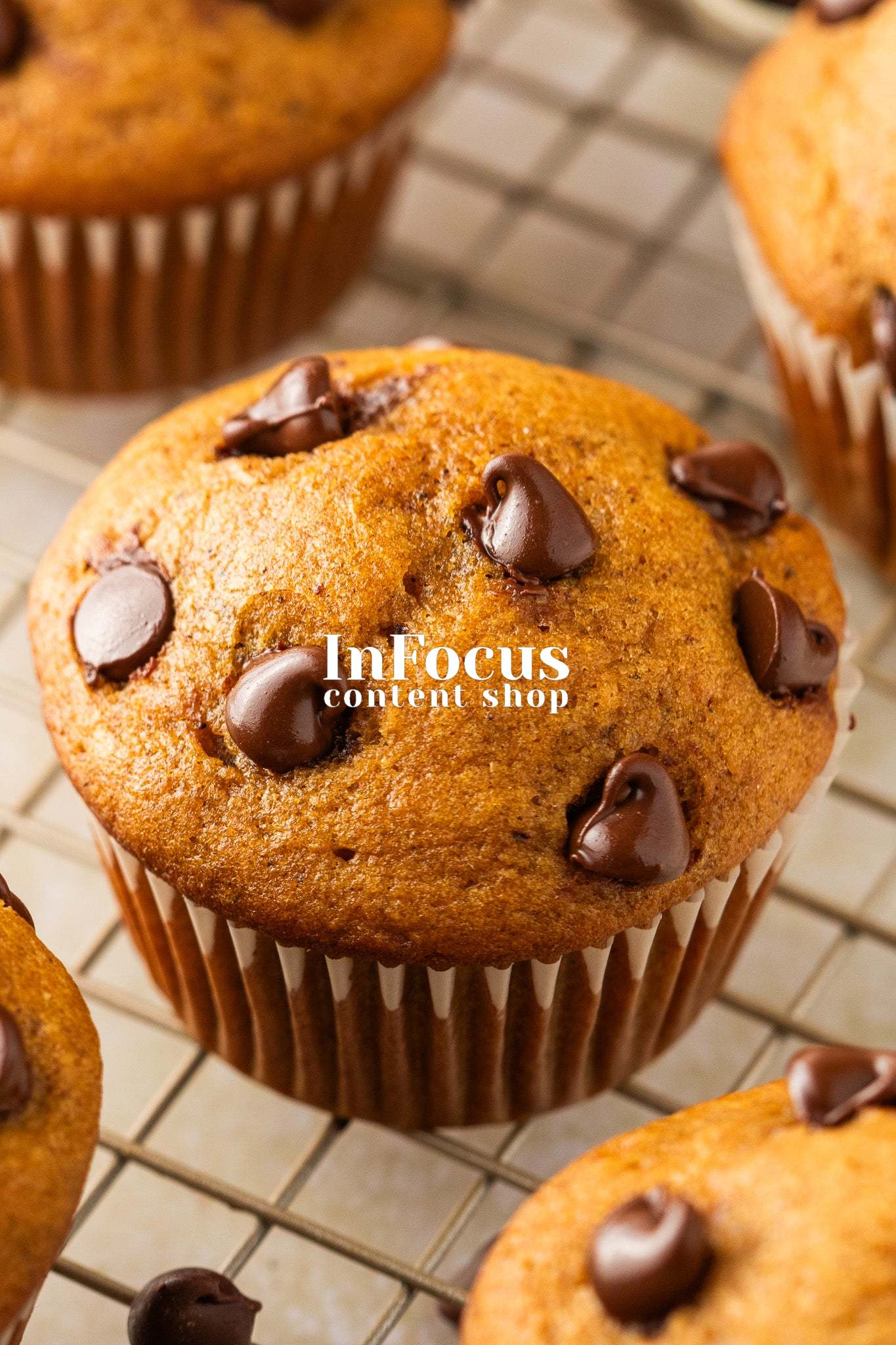 Pumpkin Chocolate Chip Muffins- Exclusive