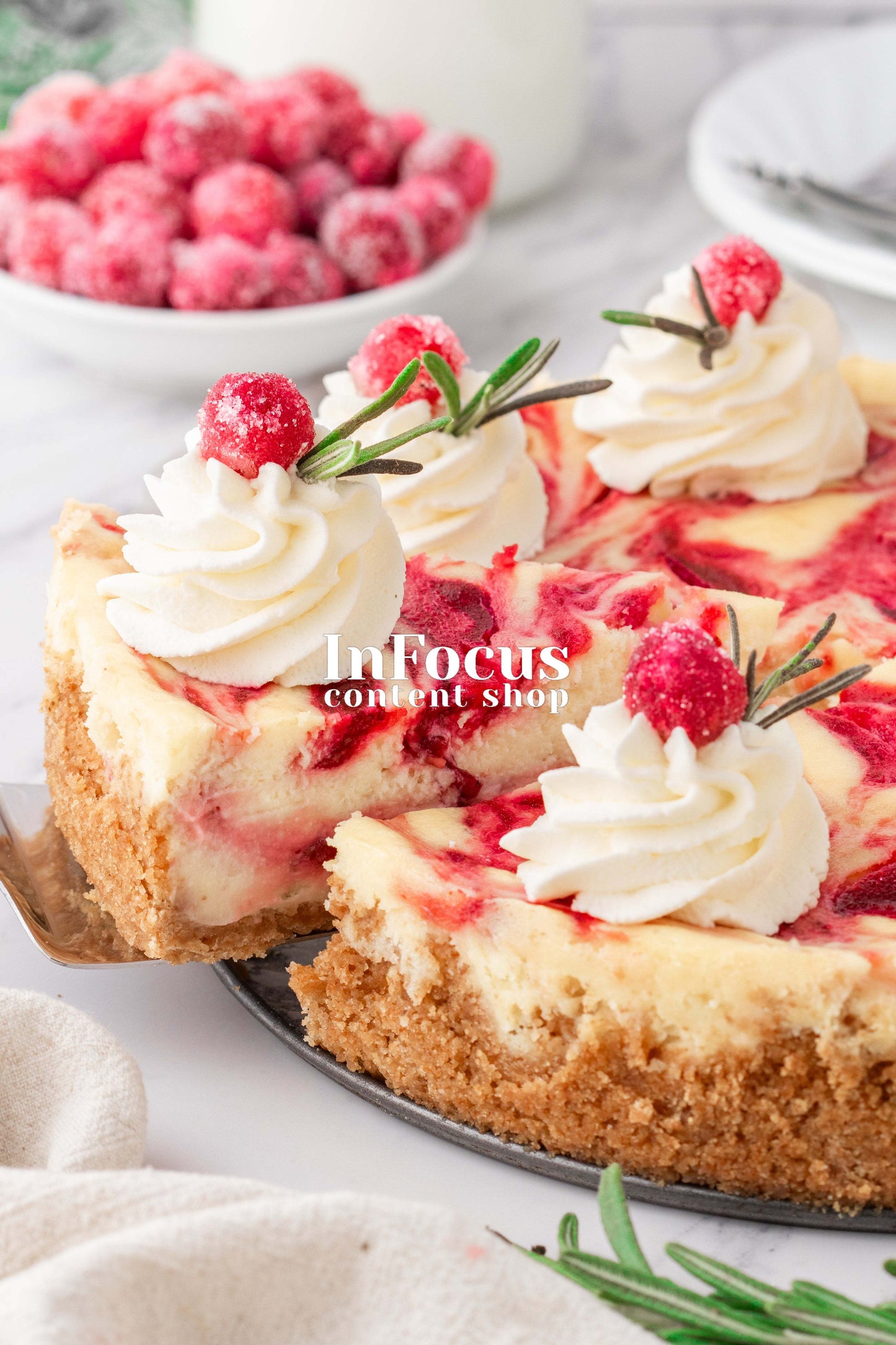 Cranberry Cheesecake- Exclusive
