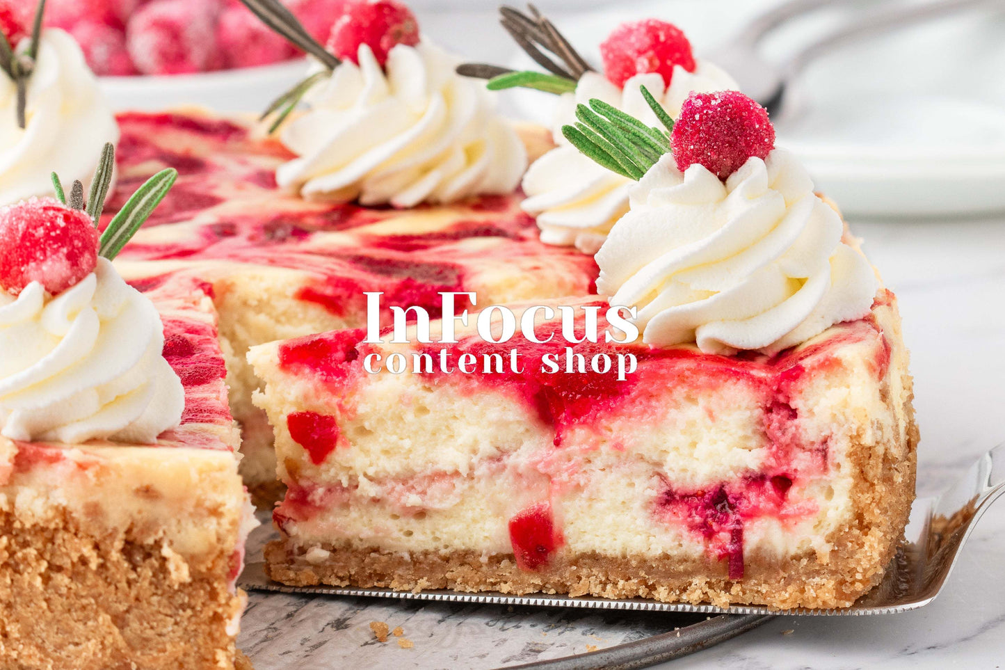 Cranberry Cheesecake- Exclusive