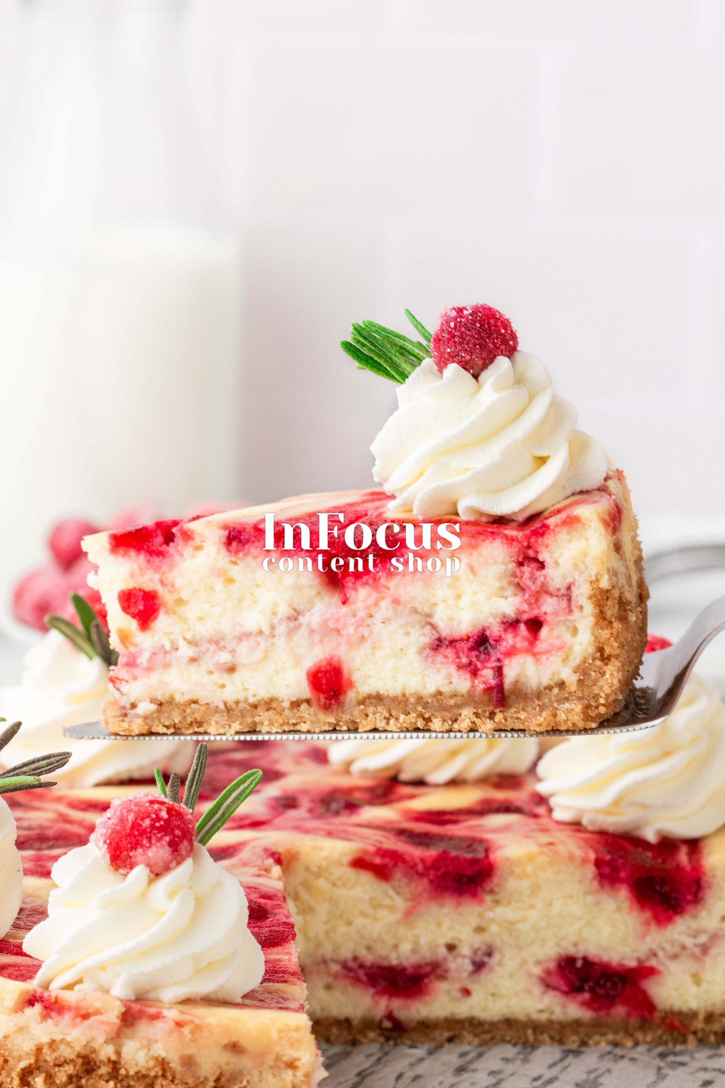 Cranberry Cheesecake- Exclusive