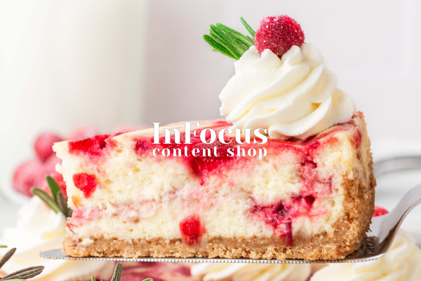 Cranberry Cheesecake- Exclusive