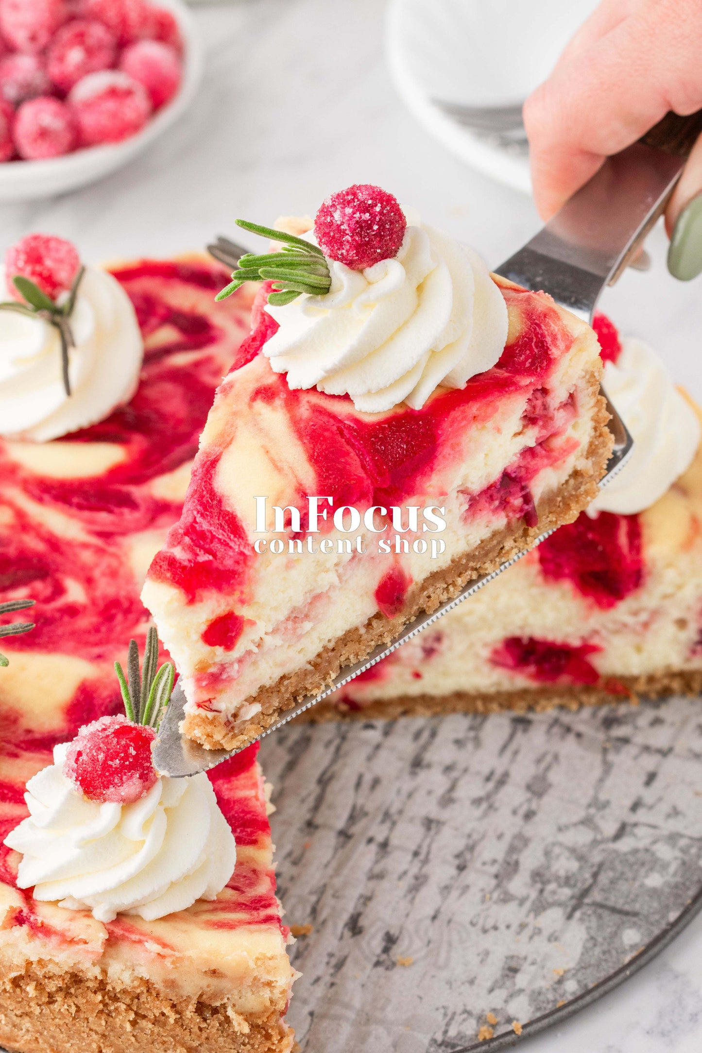 Cranberry Cheesecake- Exclusive