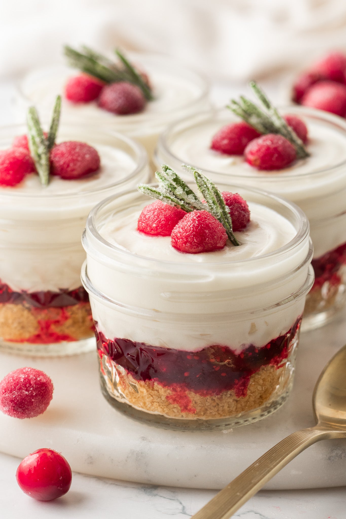 White Chocolate Cranberry Cheesecake Cups- Exclusive