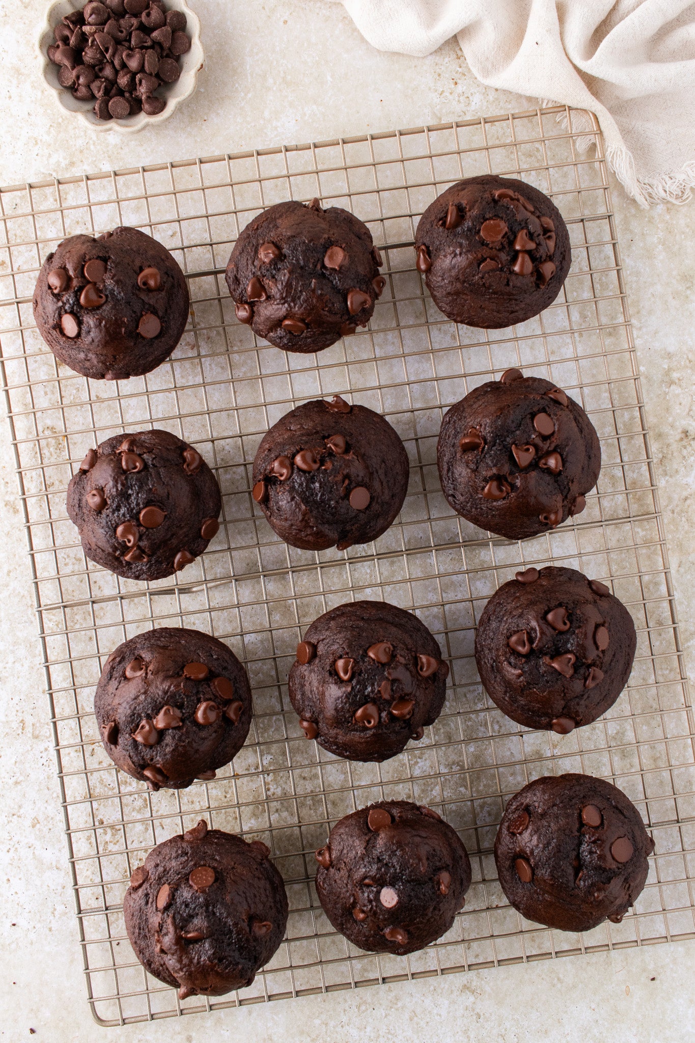 Double Chocolate Muffins- Exclusive