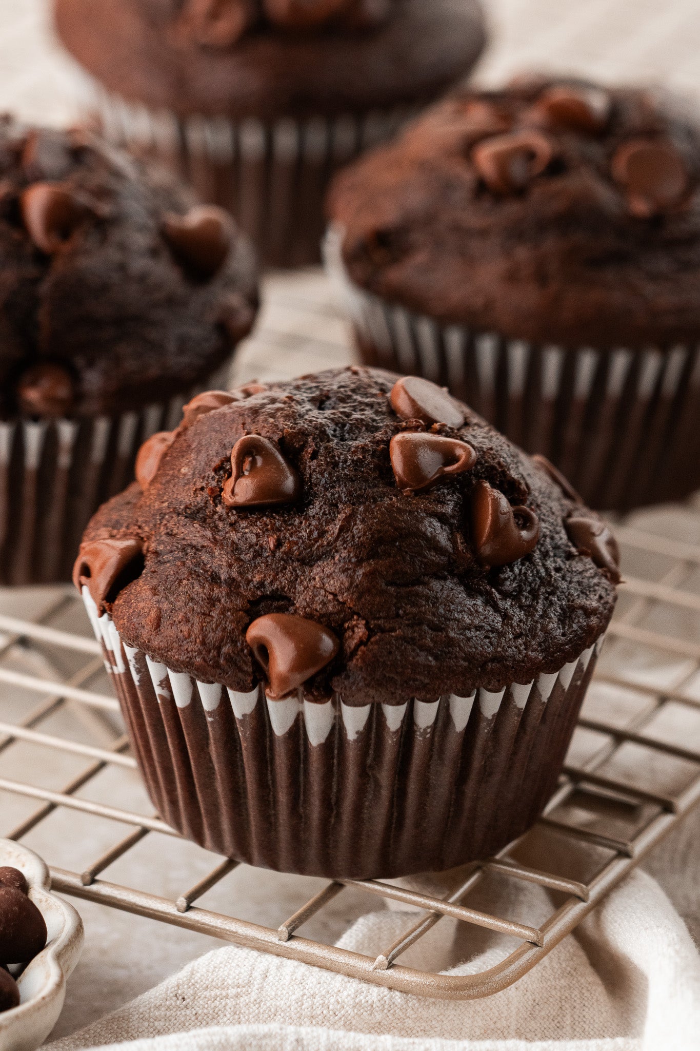 Double Chocolate Muffins- Exclusive