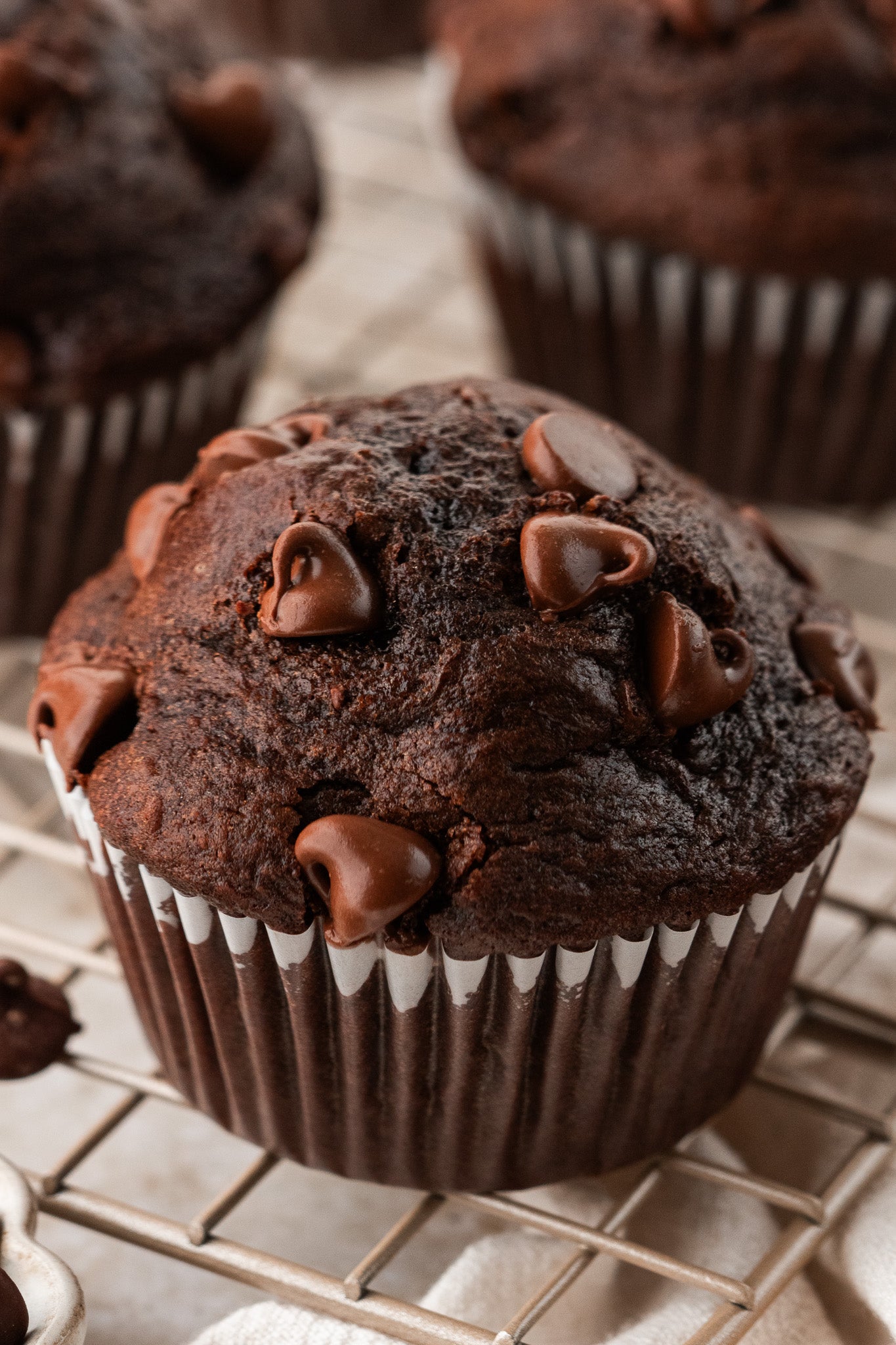 Double Chocolate Muffins- Exclusive