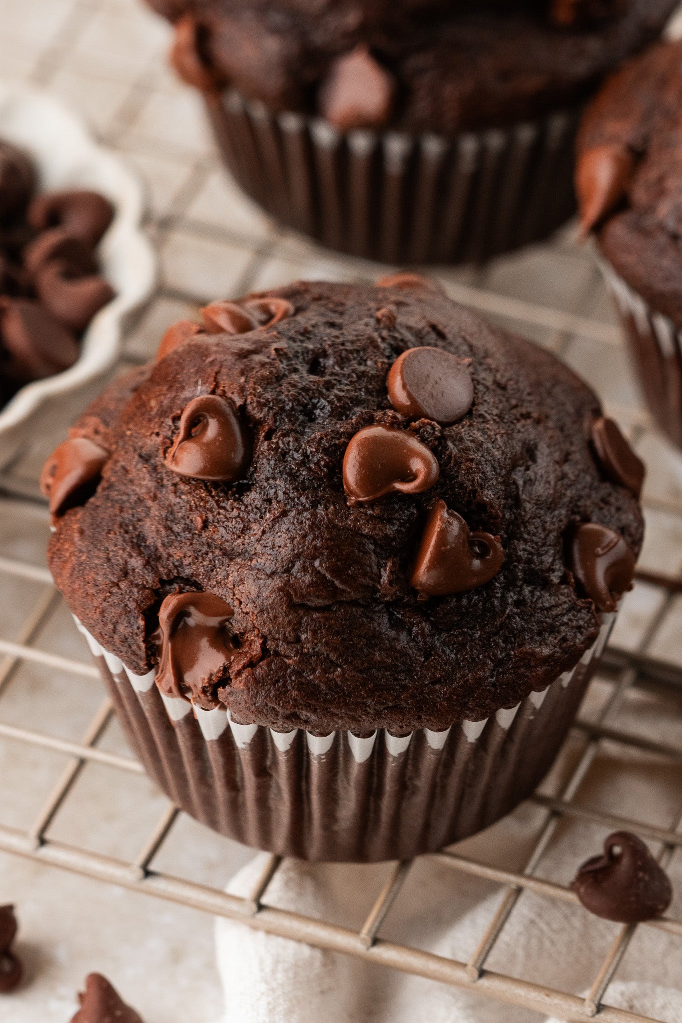 Double Chocolate Muffins- Exclusive