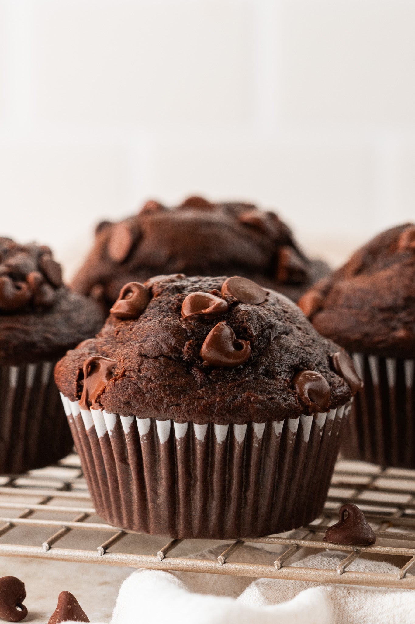 Double Chocolate Muffins- Exclusive