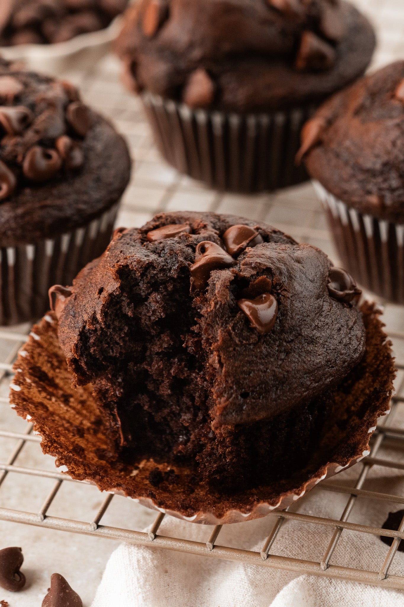 Double Chocolate Muffins- Exclusive