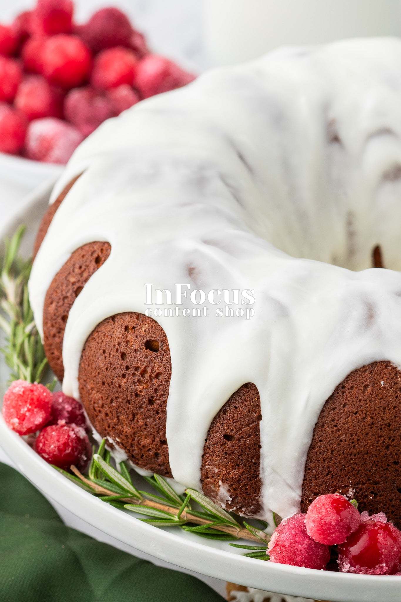 Gingerbread Bundt Cake- Exclusive