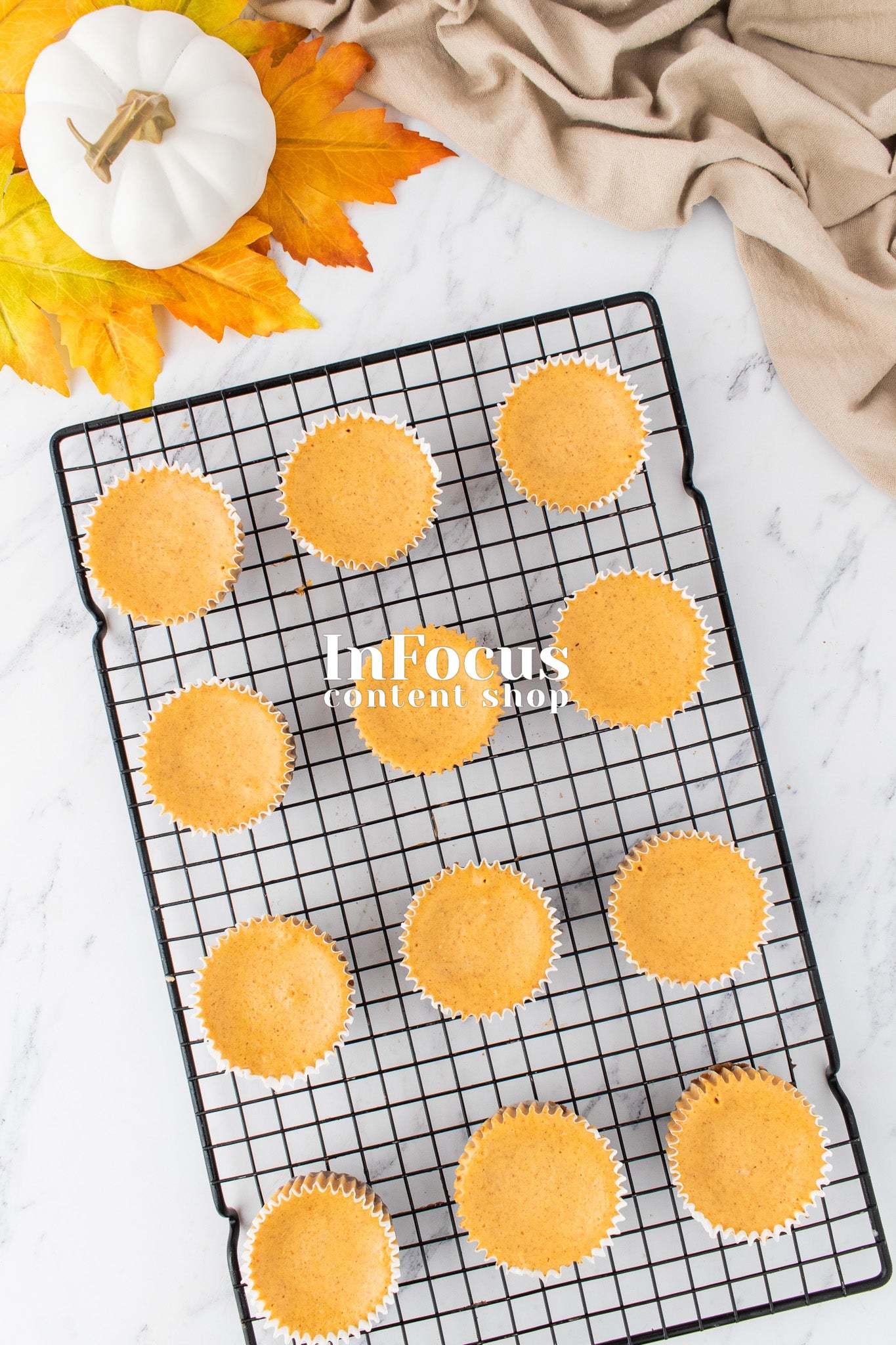 Mini Pumpkin Cheesecakes- Exclusive