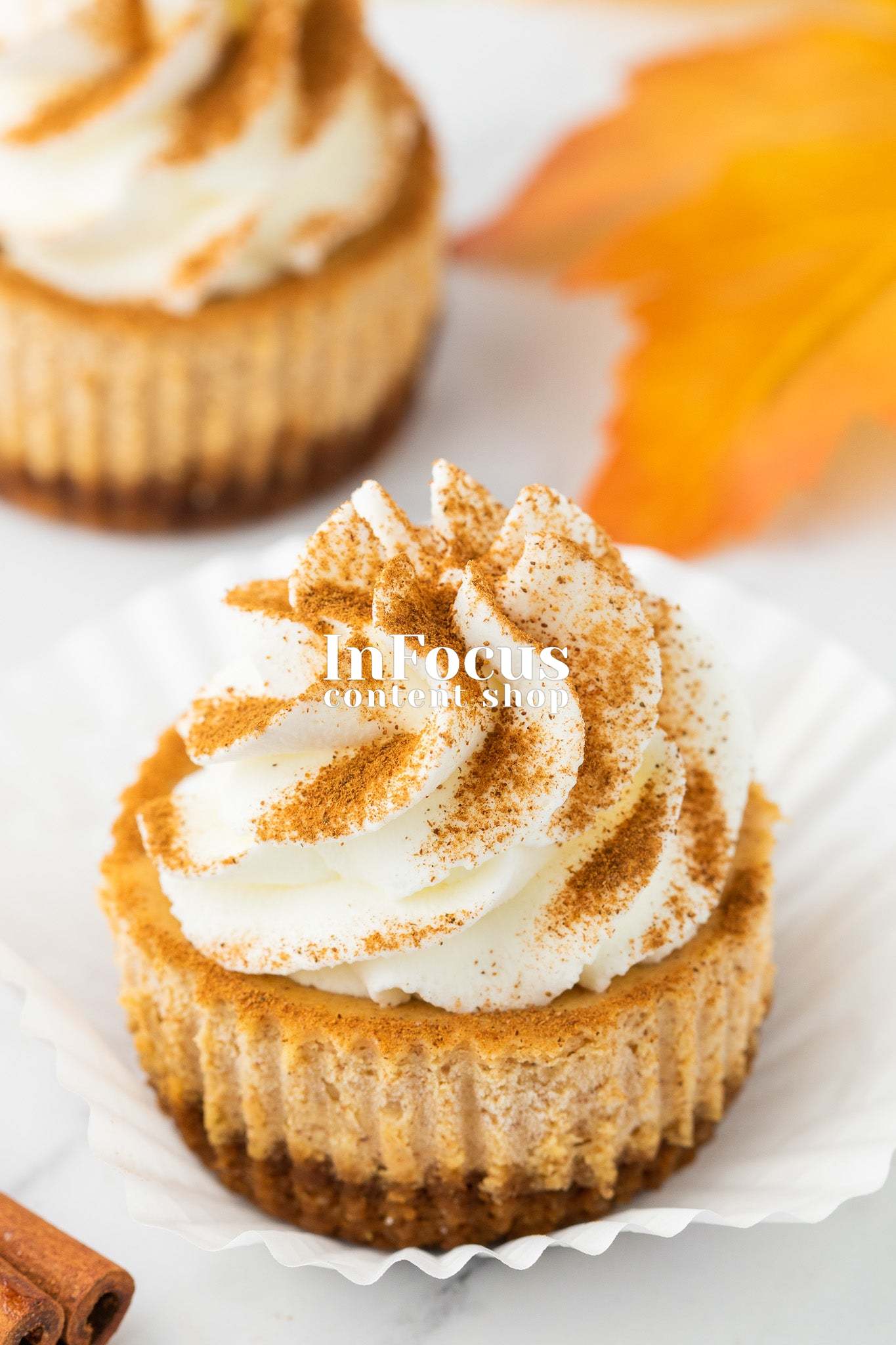 Mini Pumpkin Cheesecakes- Exclusive