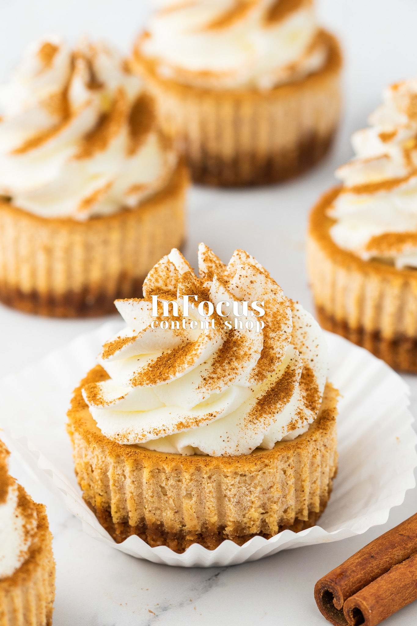 Mini Pumpkin Cheesecakes- Exclusive