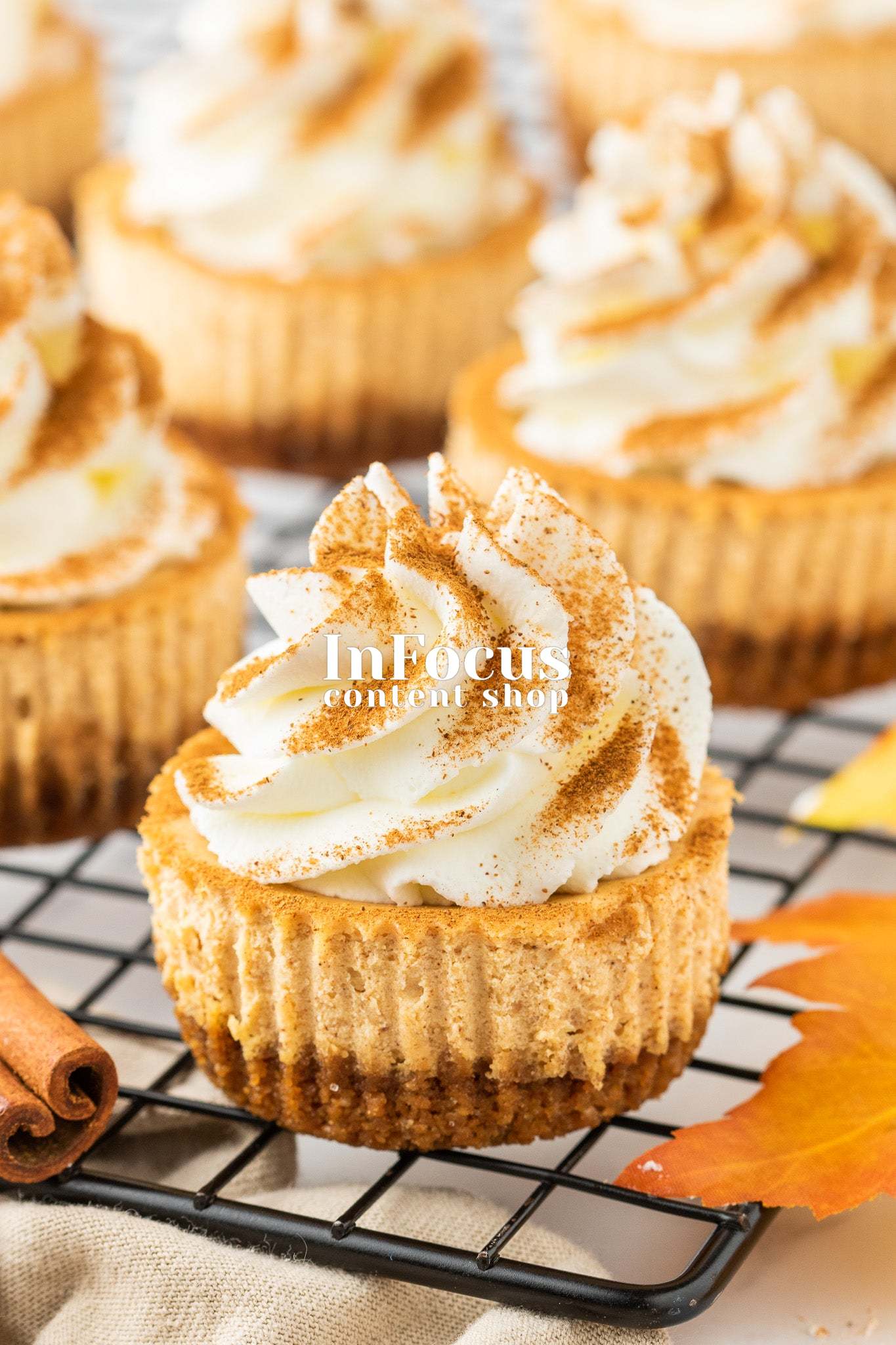 Mini Pumpkin Cheesecakes- Exclusive
