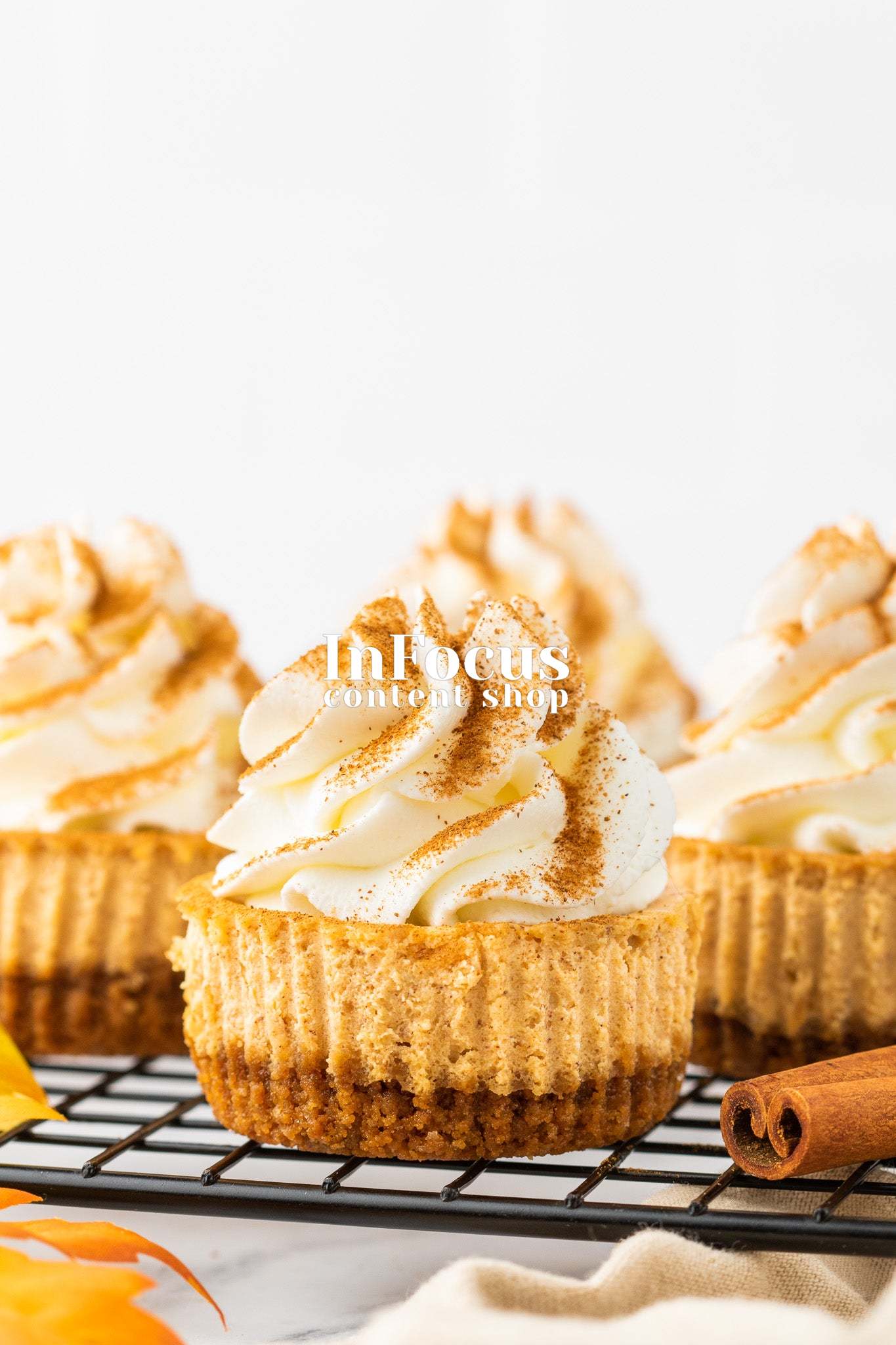 Mini Pumpkin Cheesecakes- Exclusive
