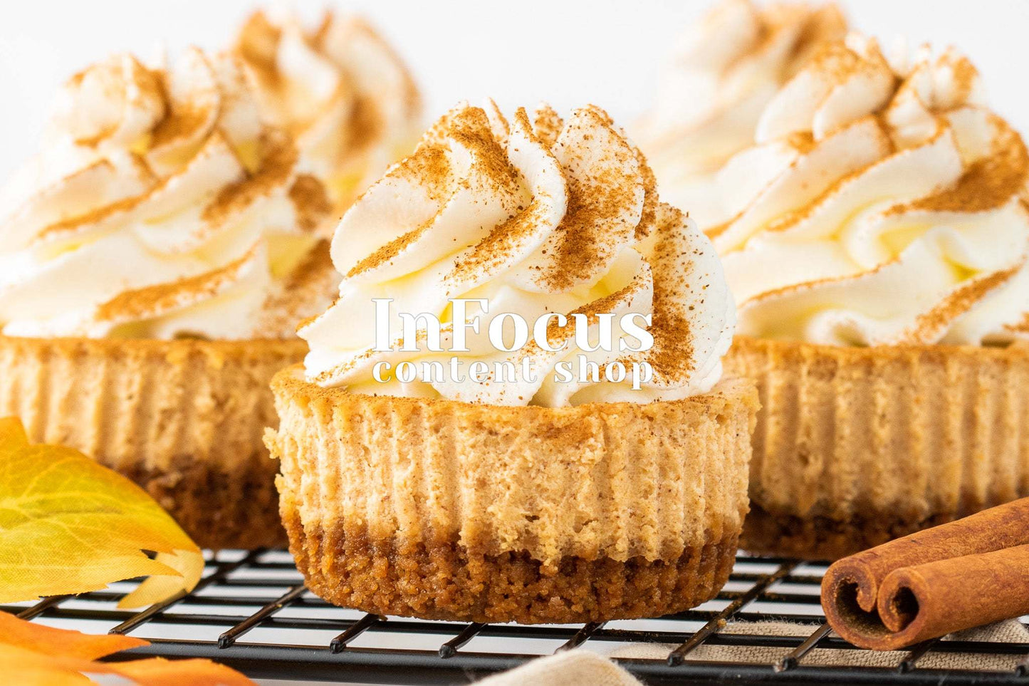 Mini Pumpkin Cheesecakes- Exclusive