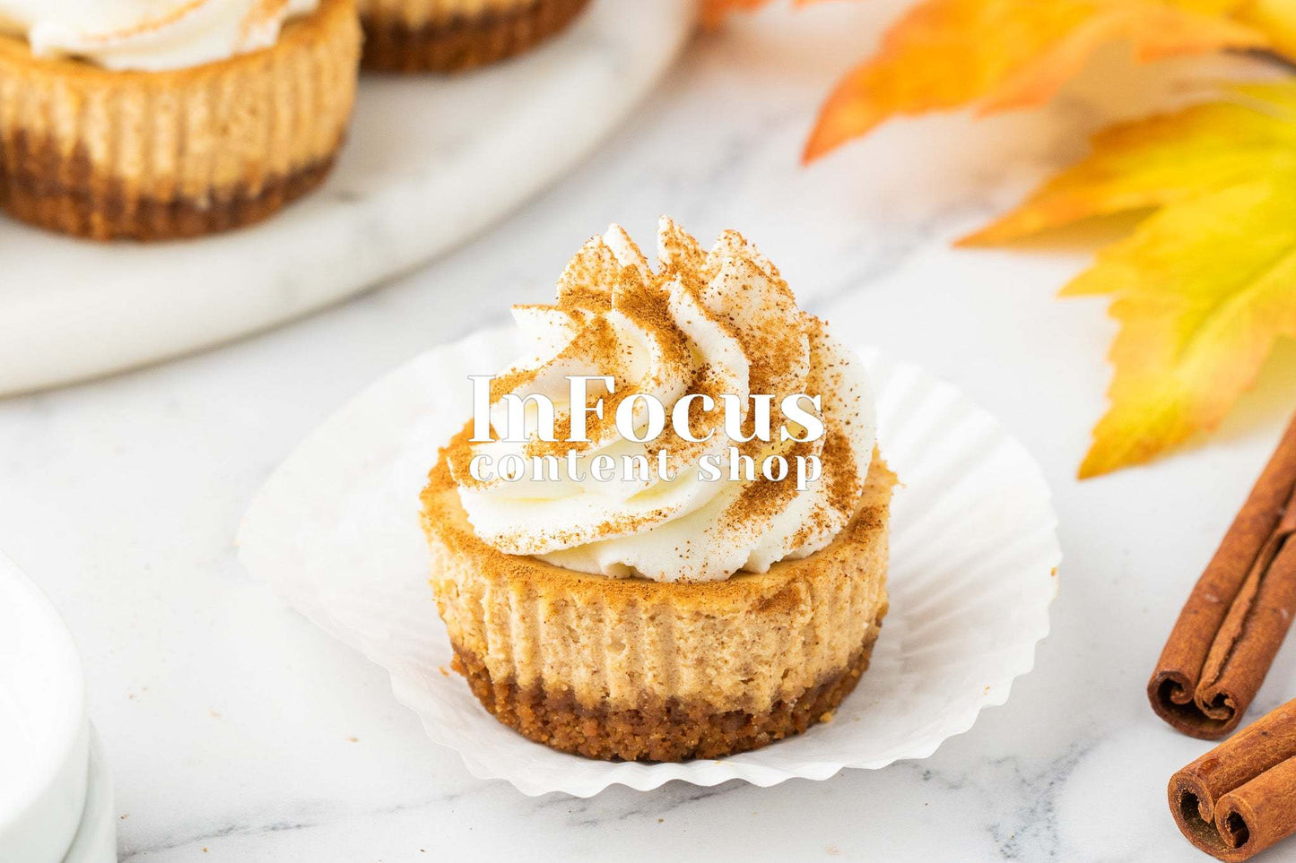 Mini Pumpkin Cheesecakes- Exclusive