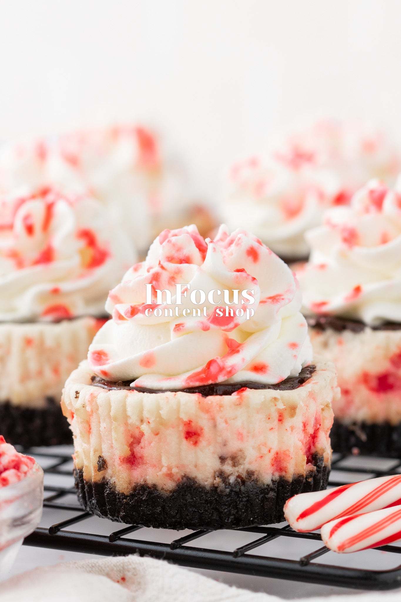 Mini White Chocolate Peppermint Cheesecakes- Exclusive