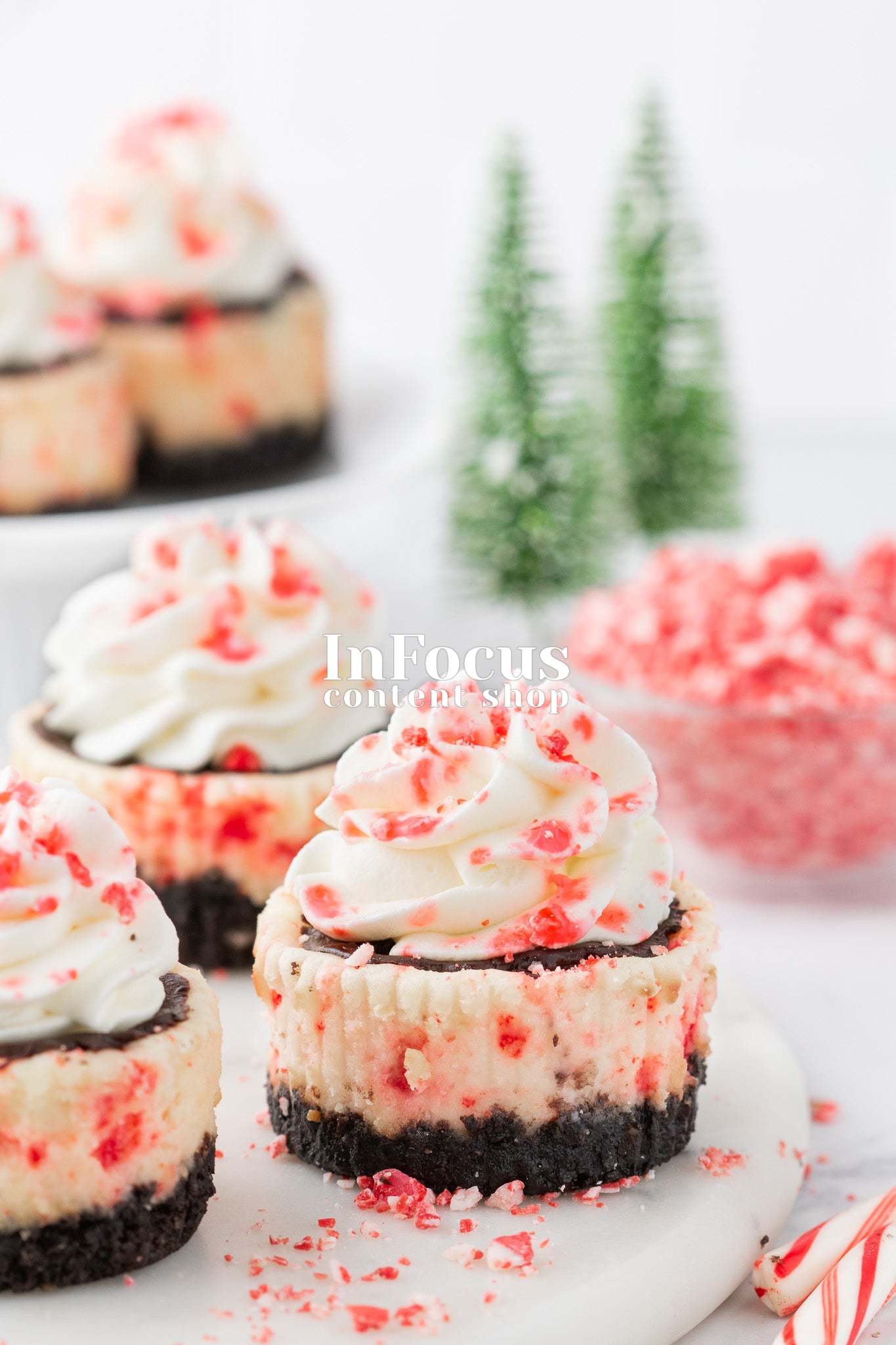 Mini White Chocolate Peppermint Cheesecakes- Exclusive