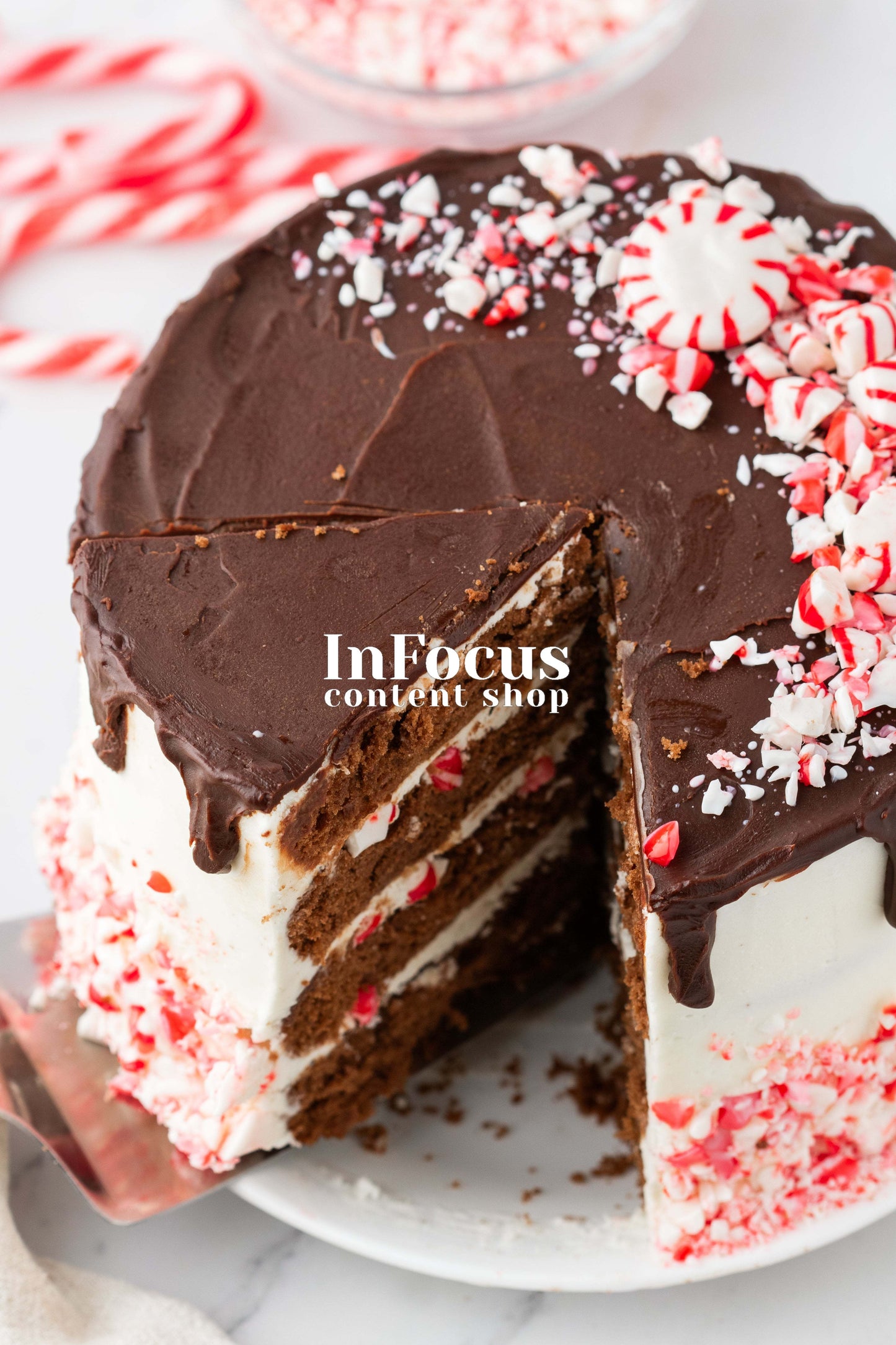 Chocolate Peppermint Cake- Exclusive