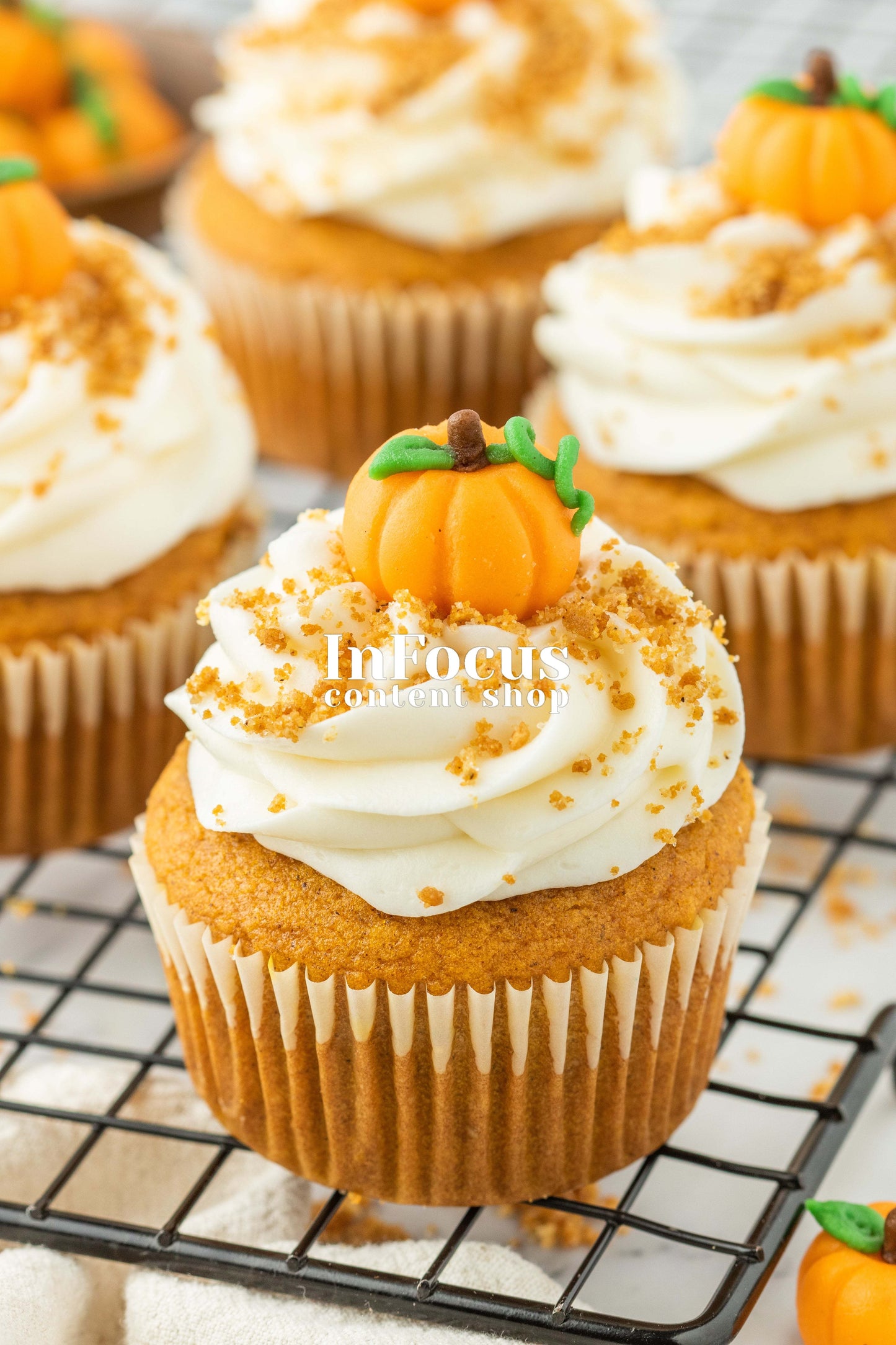 Pumpkin Cupcakes + Marzipan Pumpkins- Exclusive Bundle