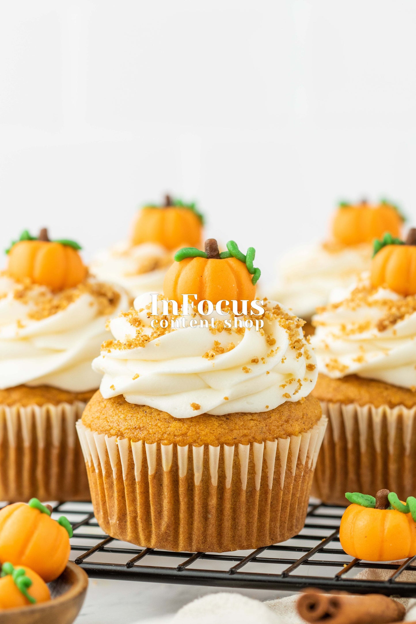 Pumpkin Cupcakes + Marzipan Pumpkins- Exclusive Bundle