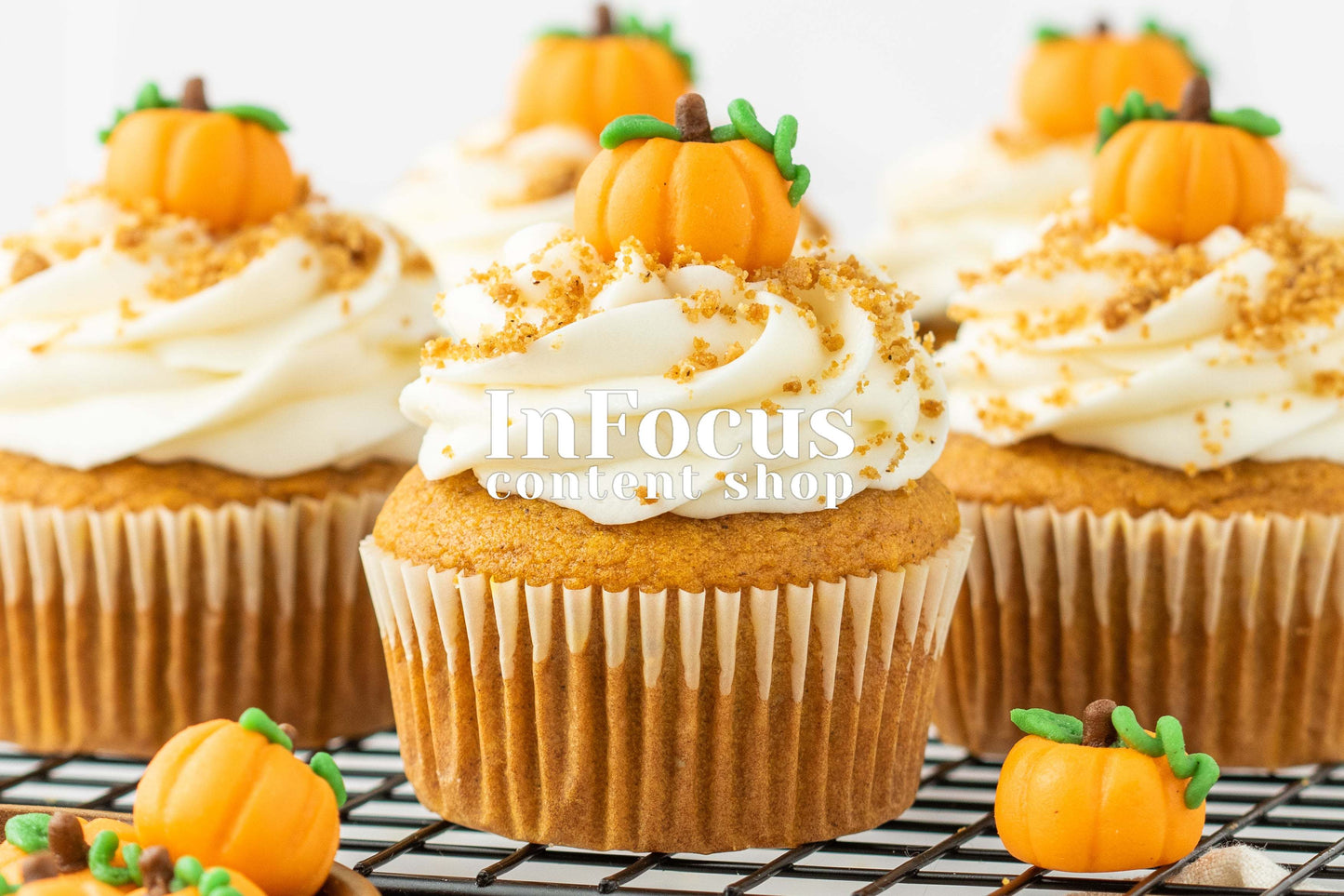 Pumpkin Cupcakes + Marzipan Pumpkins- Exclusive Bundle