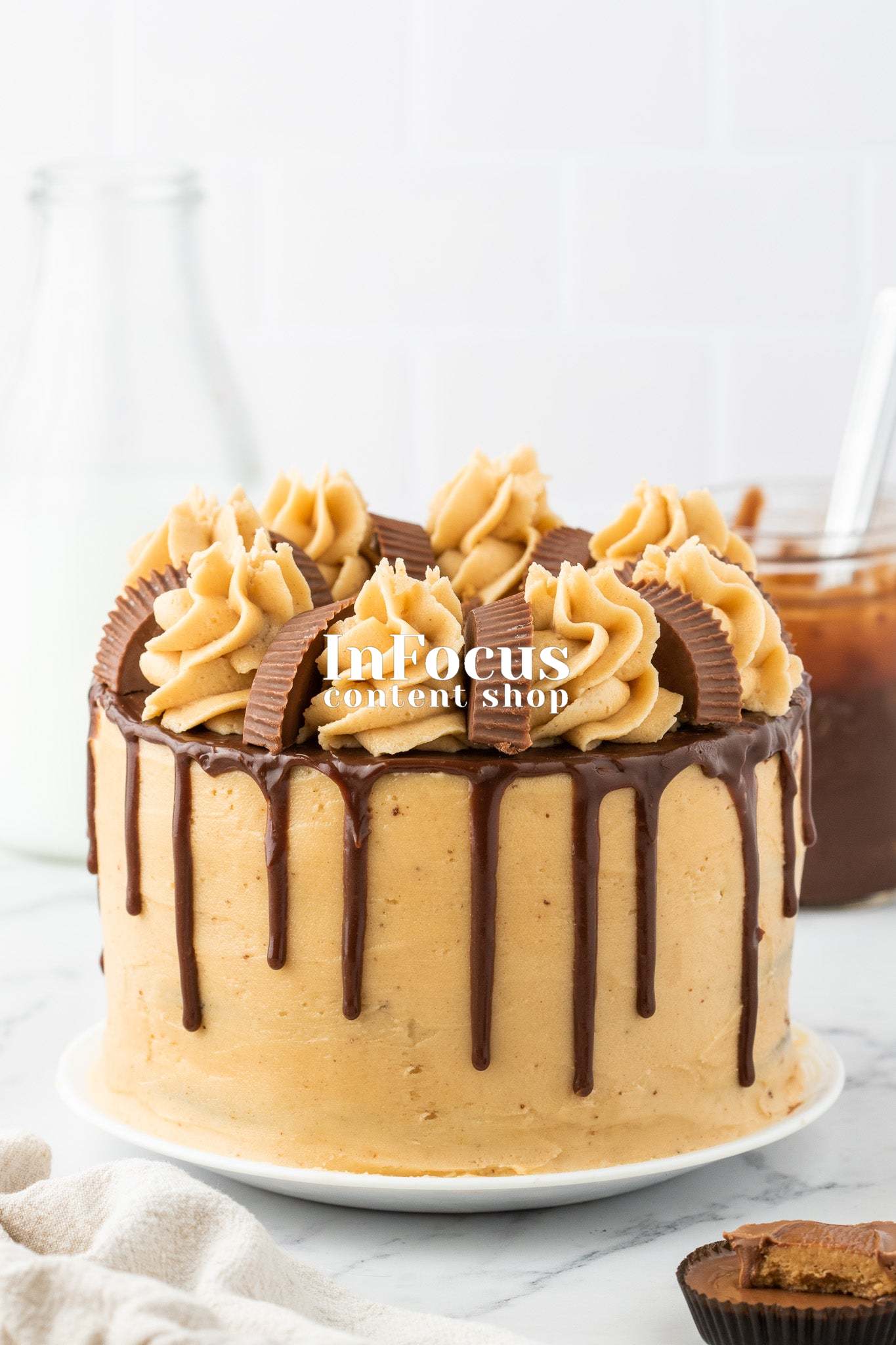 Chocolate Peanut Butter Layer Cake- Semi-Exclusive Set 1