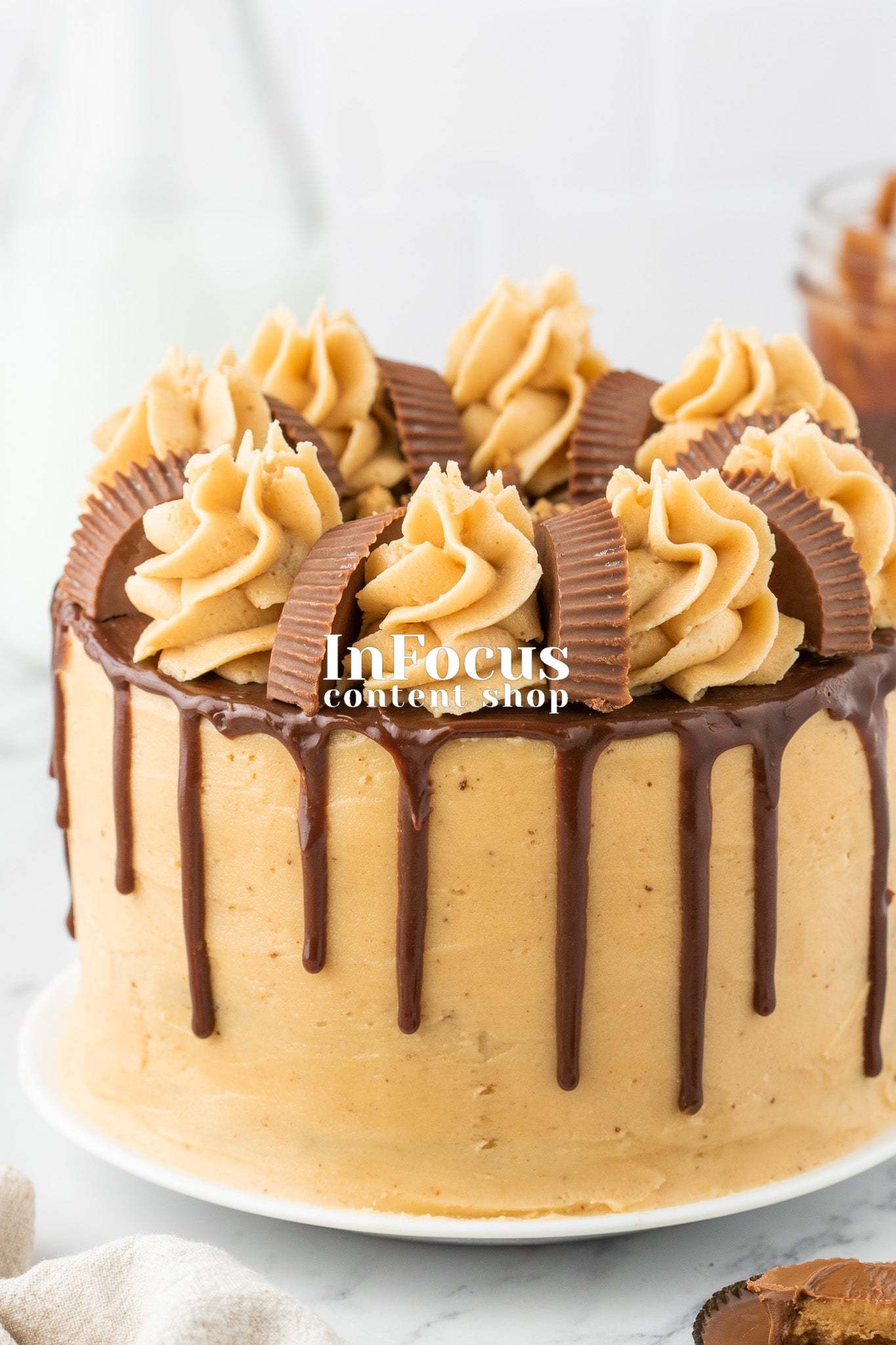 Chocolate Peanut Butter Layer Cake- Semi-Exclusive Set 1