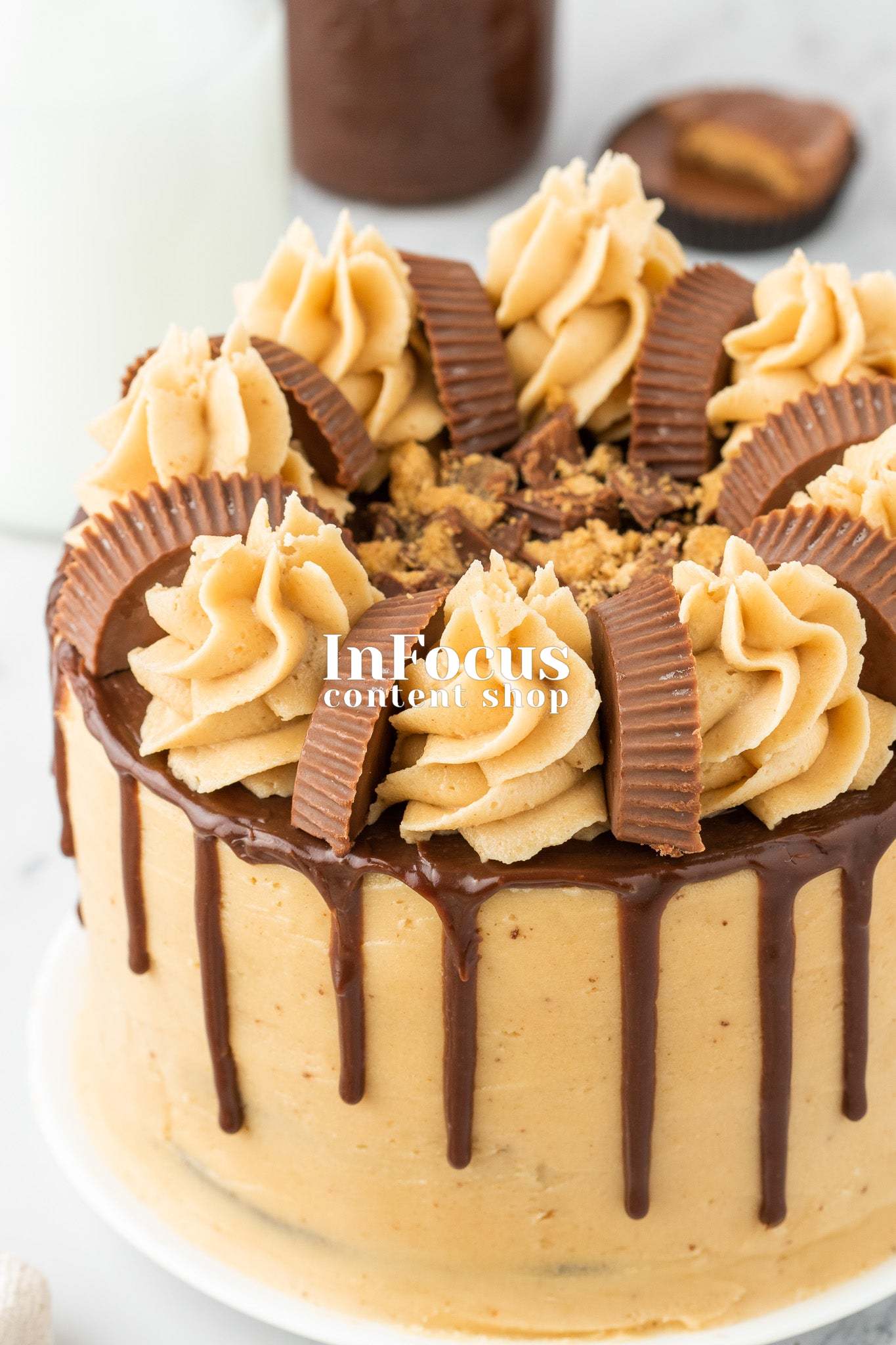 Chocolate Peanut Butter Layer Cake- Semi-Exclusive Set 1
