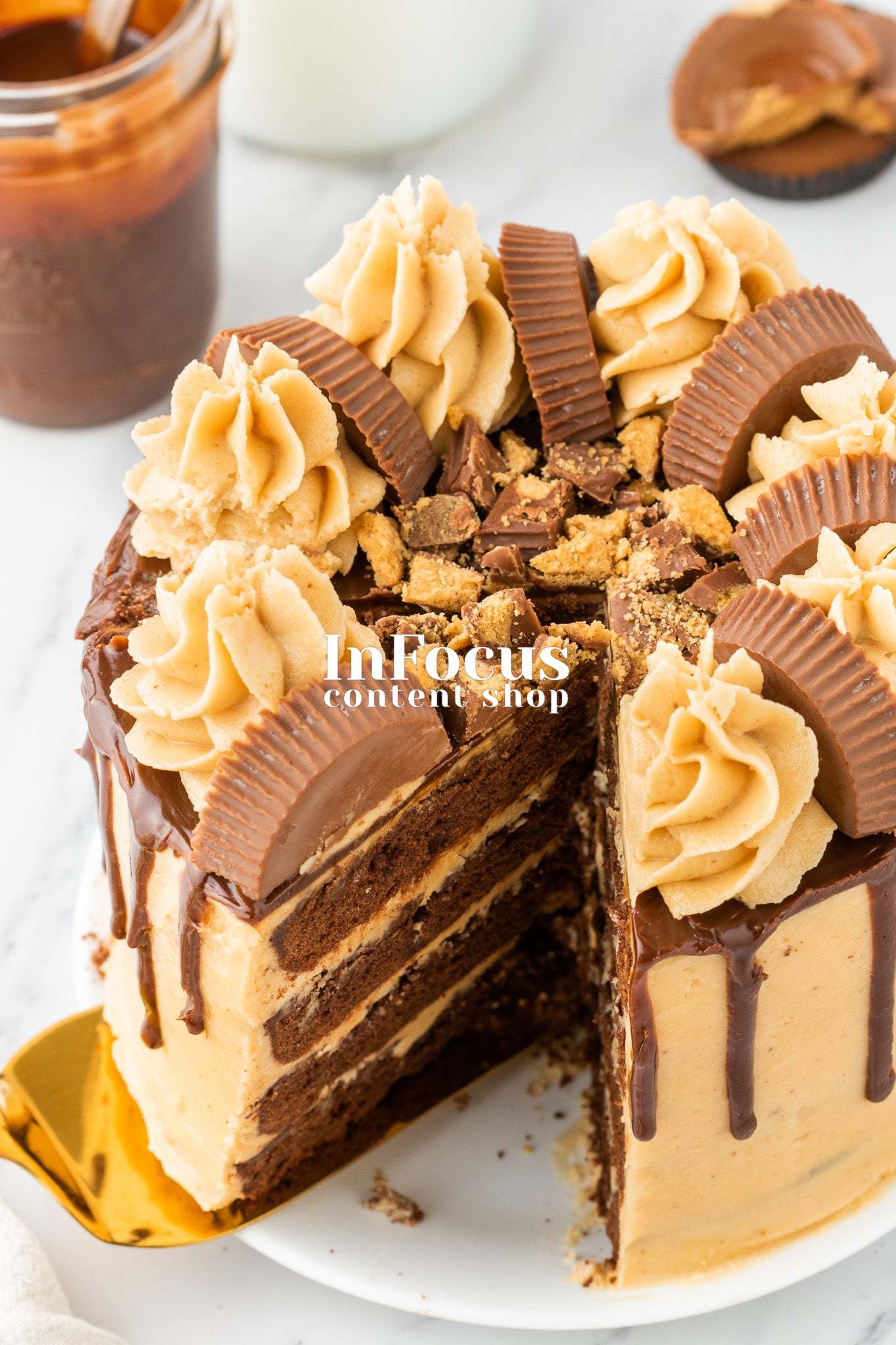 Chocolate Peanut Butter Layer Cake- Semi-Exclusive Set 1