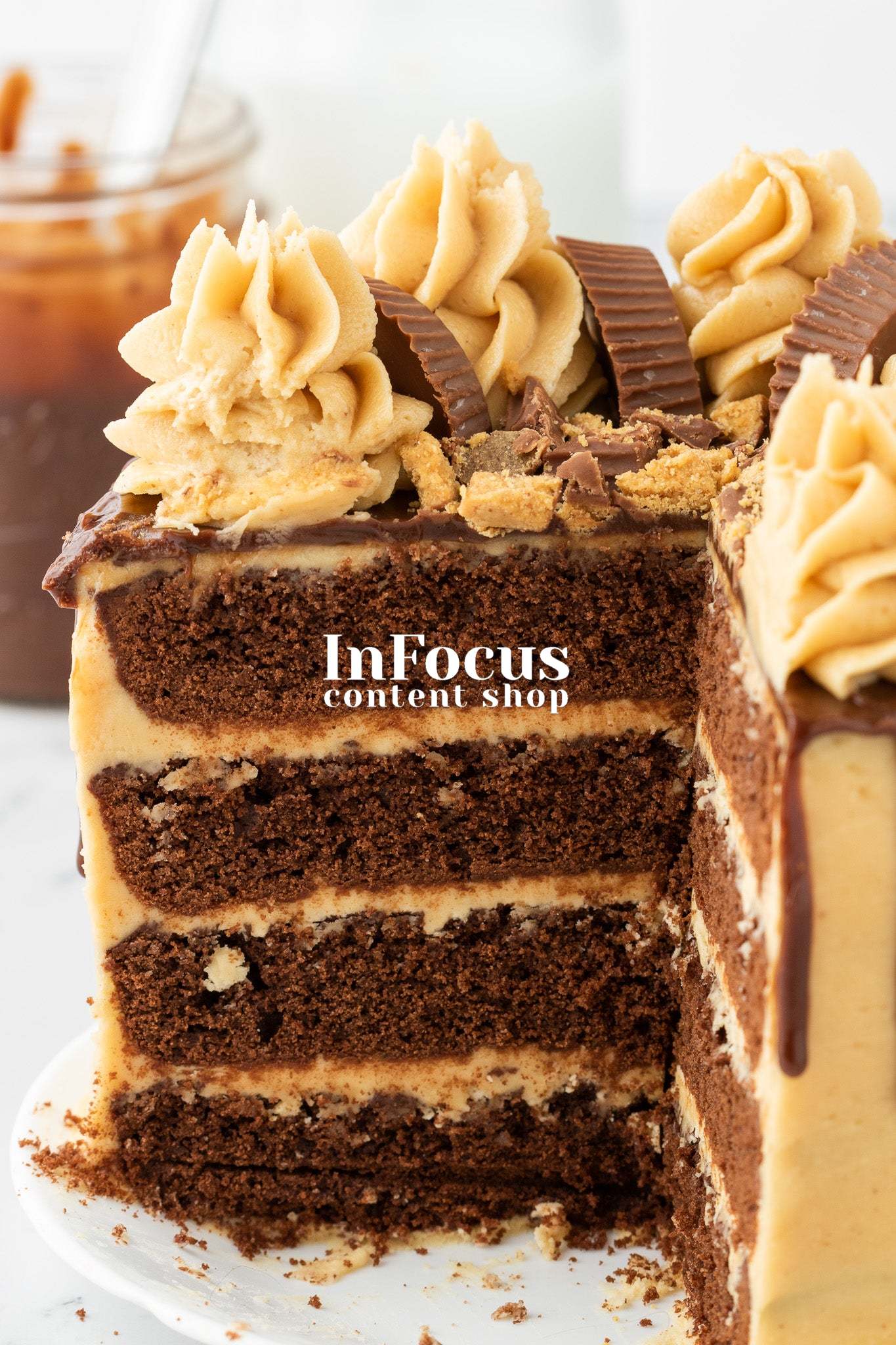 Chocolate Peanut Butter Layer Cake- Semi-Exclusive Set 1