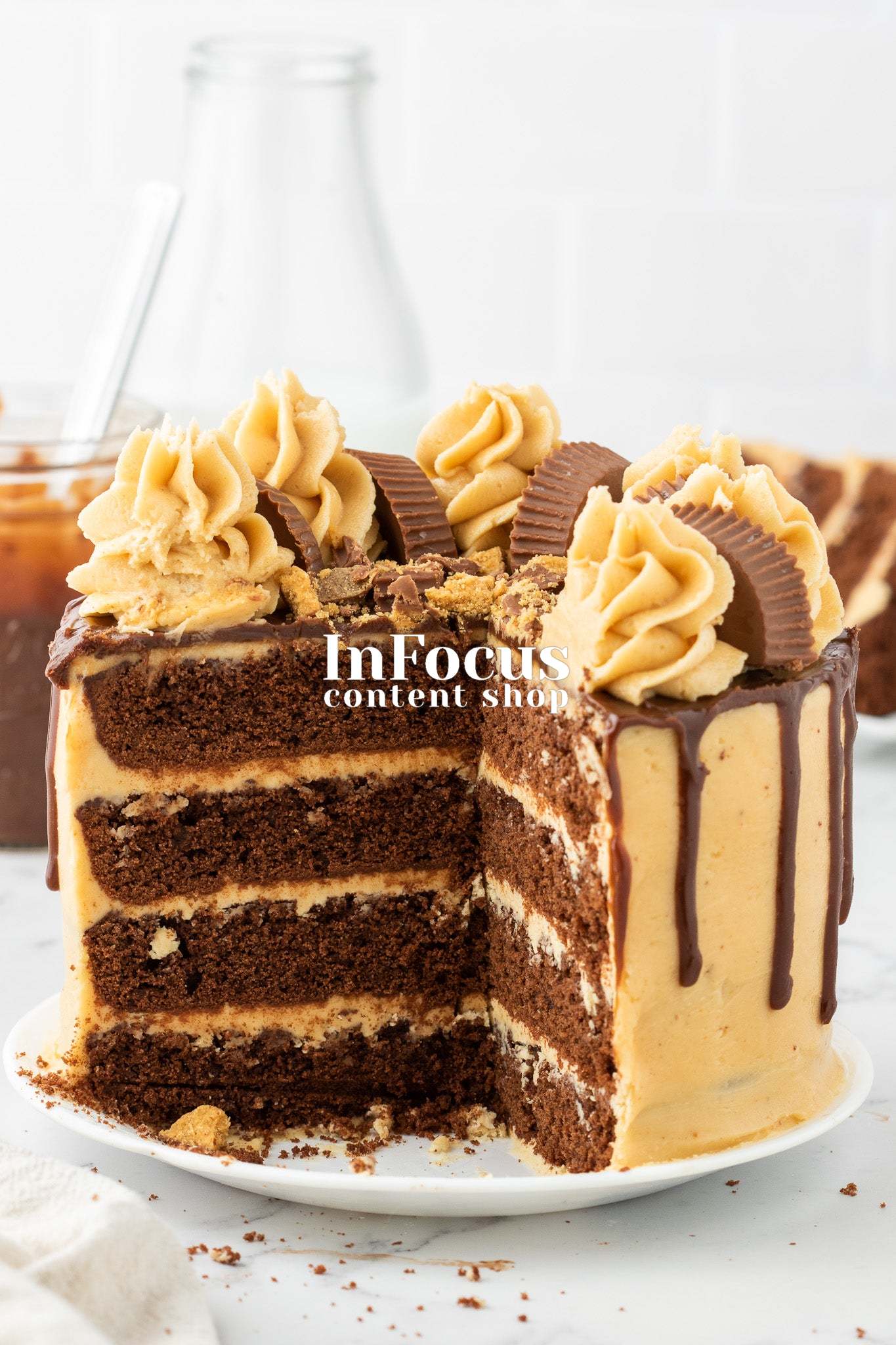 Chocolate Peanut Butter Layer Cake- Semi-Exclusive Set 1