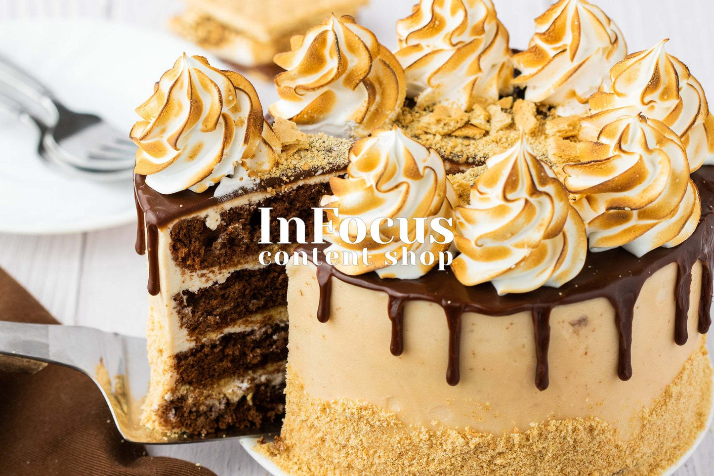 S'mores Cake- Semi-Exclusive Set 2