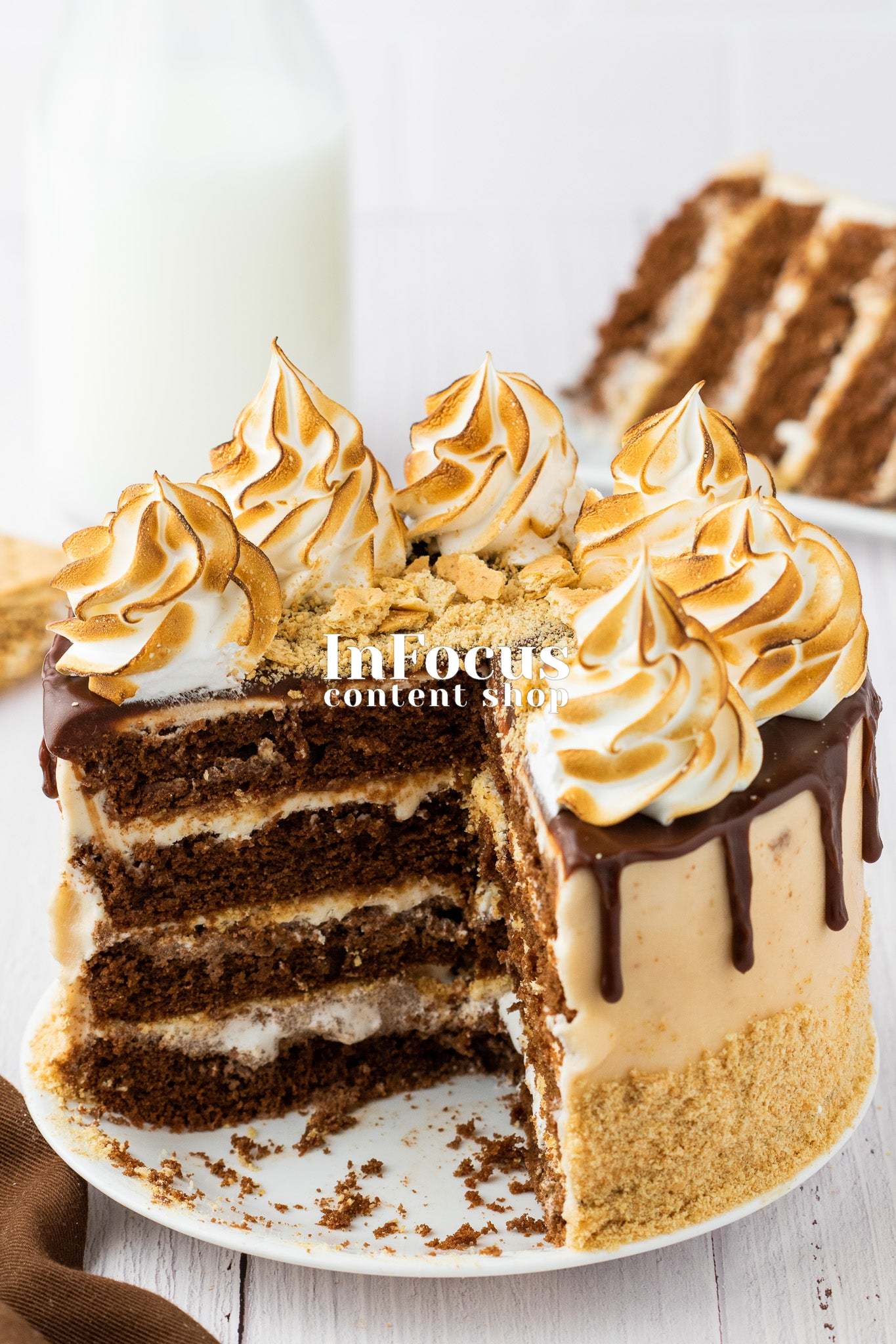 S'mores Cake- Semi-Exclusive Set 2