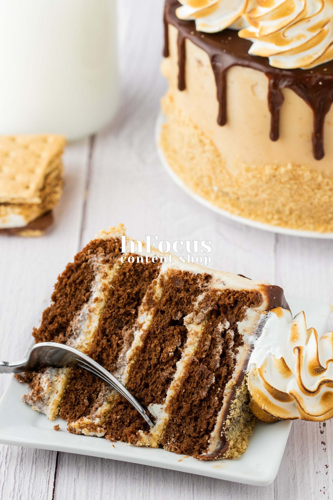 S'mores Cake- Semi-Exclusive Set 2