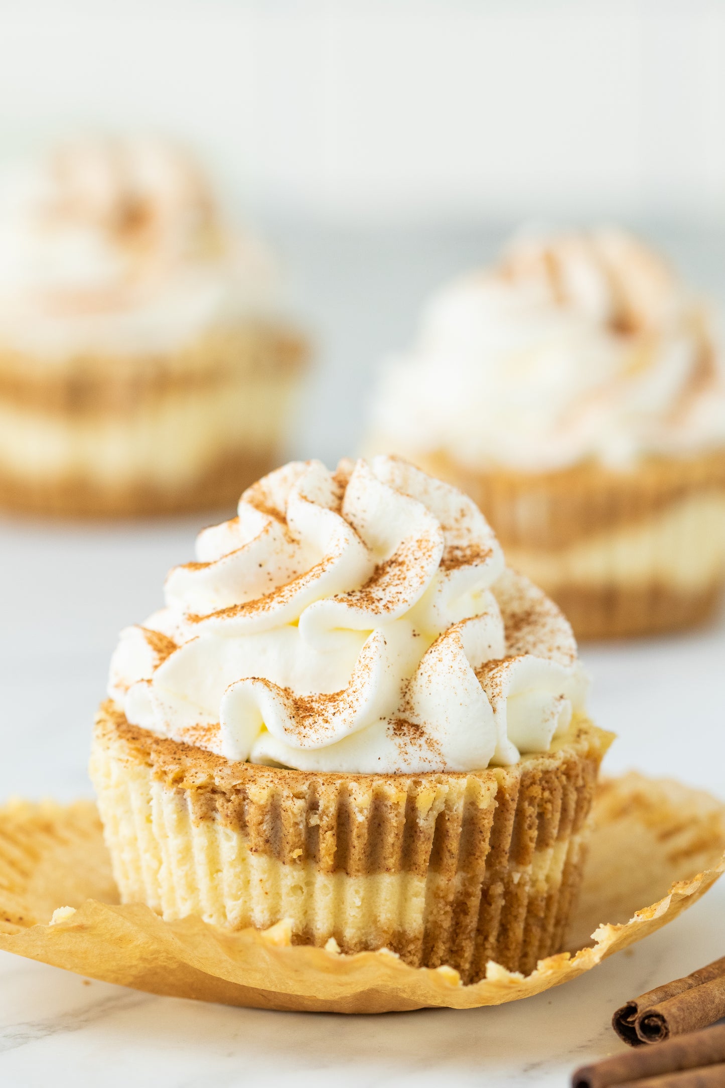 Pumpkin Cheesecake- Exclusive