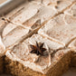 Chai Sheet Cake- Exclusive