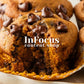Pumpkin Chocolate Chip Muffins- Exclusive