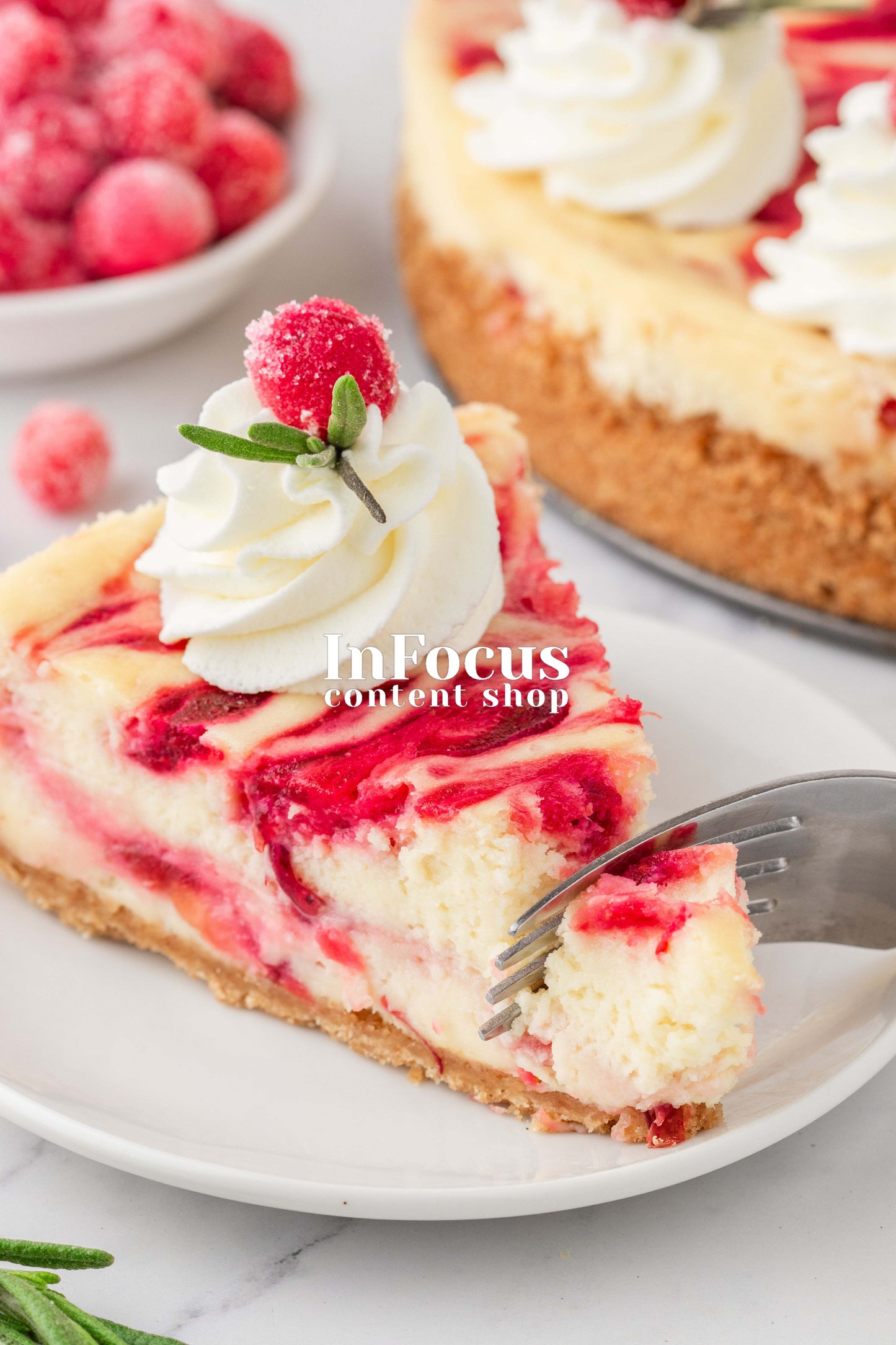 Cranberry Cheesecake- Exclusive