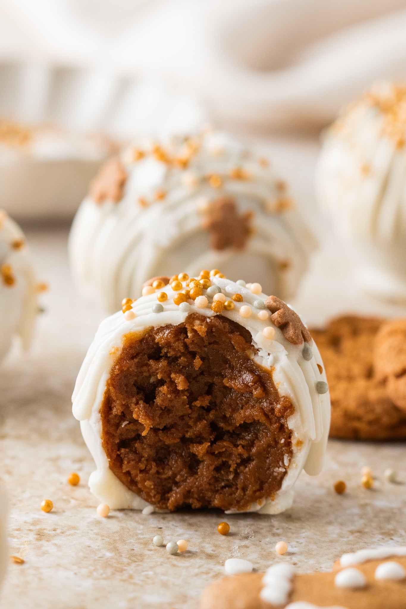 Gingerbread Truffles- Semi-Exclusive Set 1