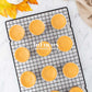 Mini Pumpkin Cheesecakes- Exclusive
