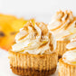 Mini Pumpkin Cheesecakes- Exclusive