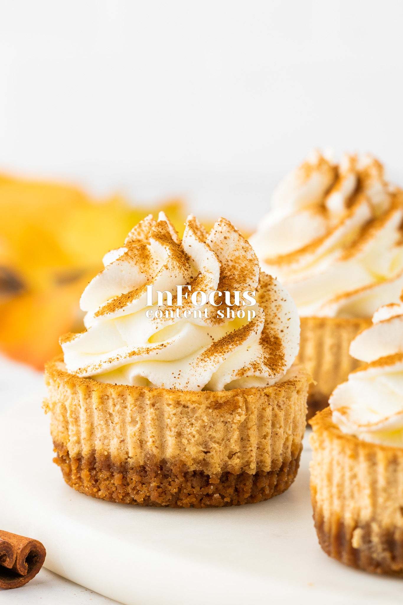 Mini Pumpkin Cheesecakes- Exclusive