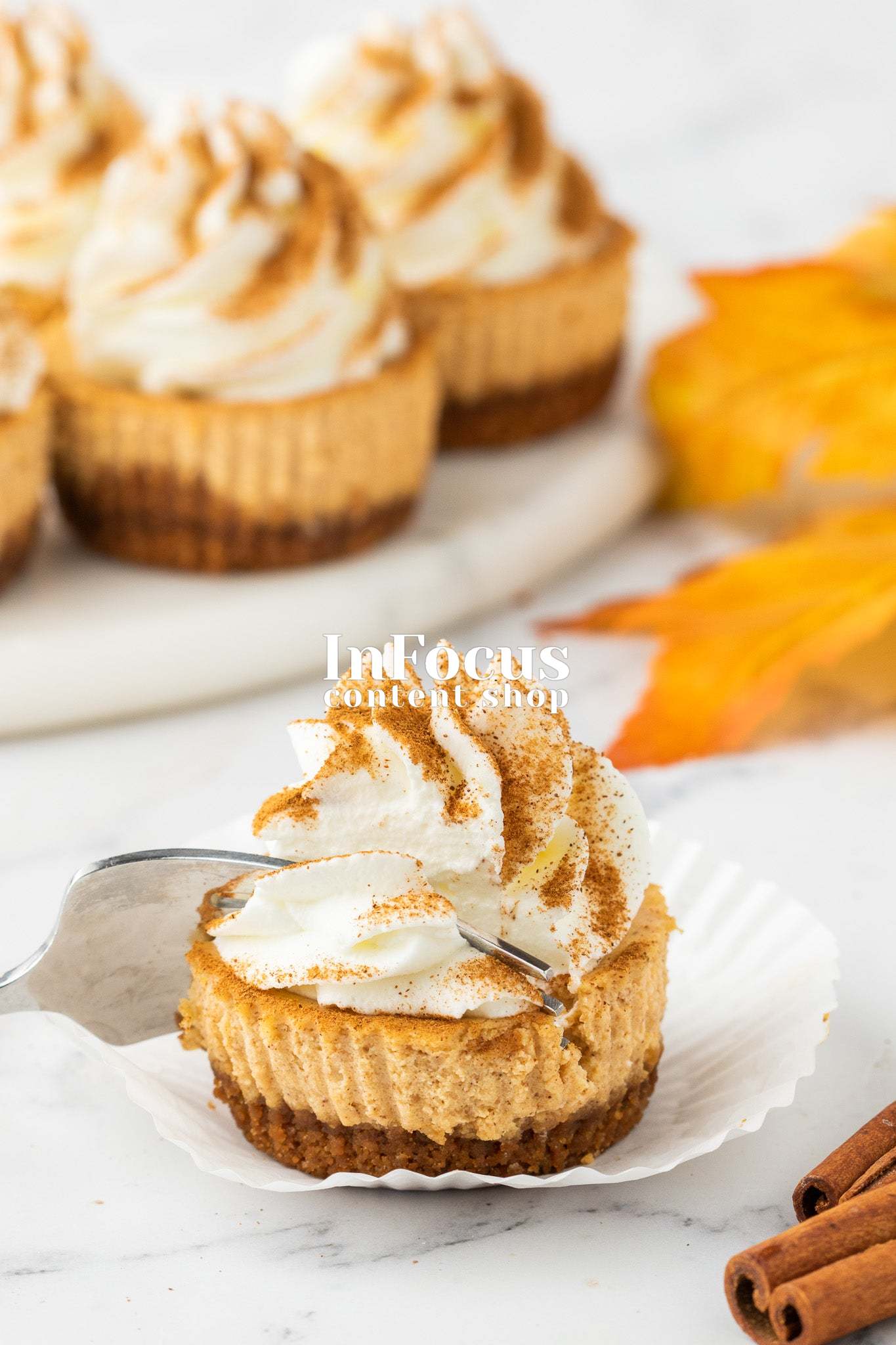Mini Pumpkin Cheesecakes- Exclusive