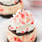 Mini White Chocolate Peppermint Cheesecakes- Exclusive