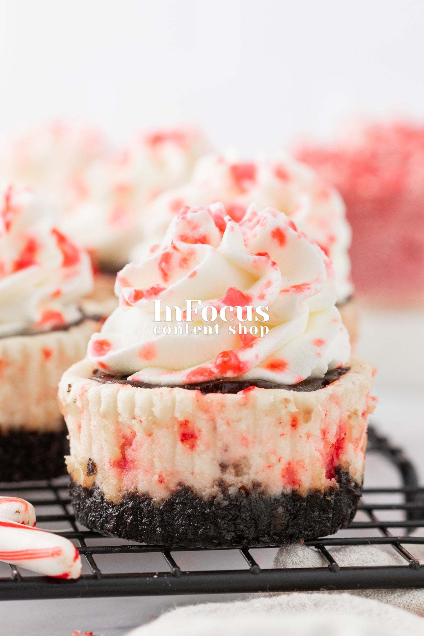 Mini White Chocolate Peppermint Cheesecakes- Exclusive
